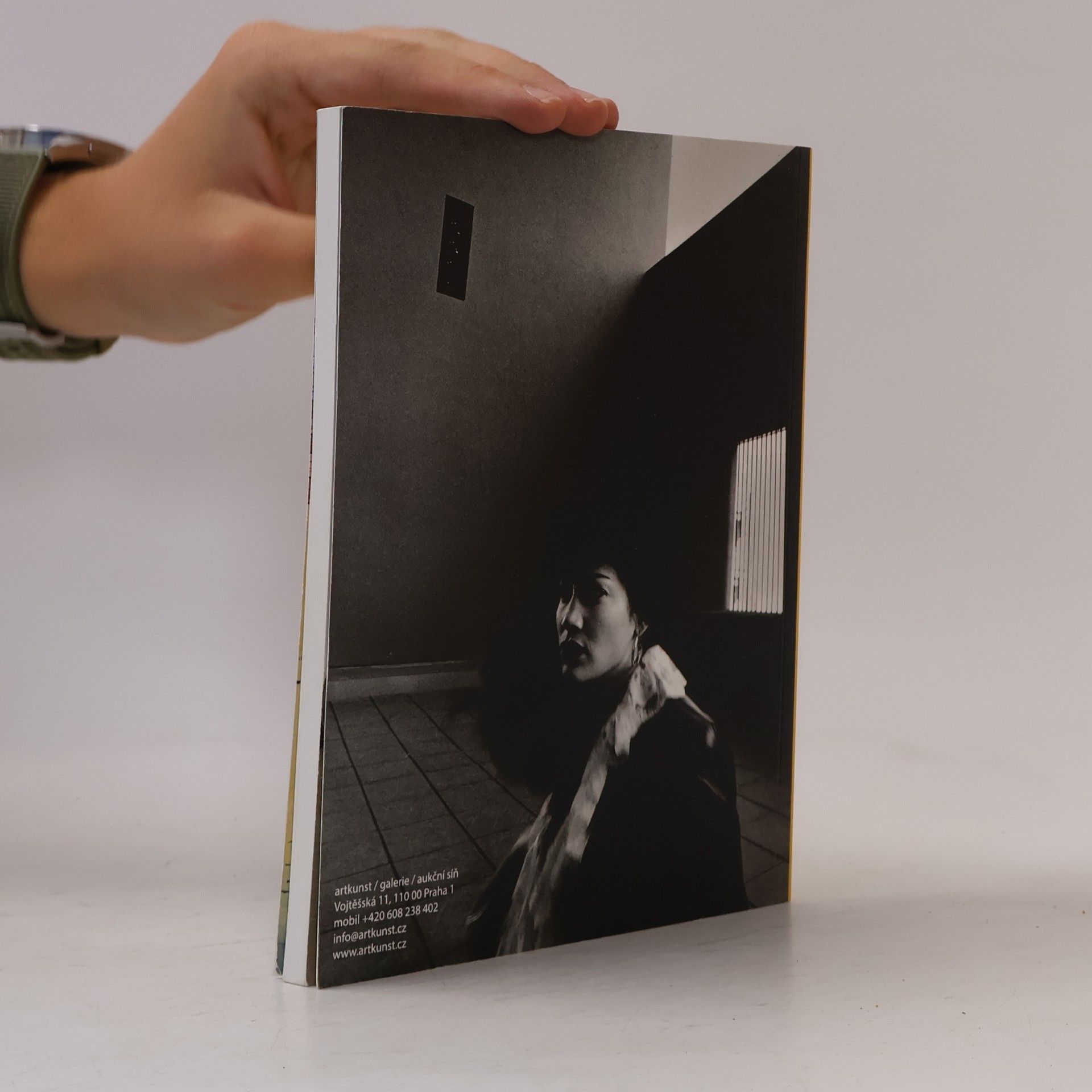 Kolektív autorov Moderní a poválečné umění/současné umění/fotografie