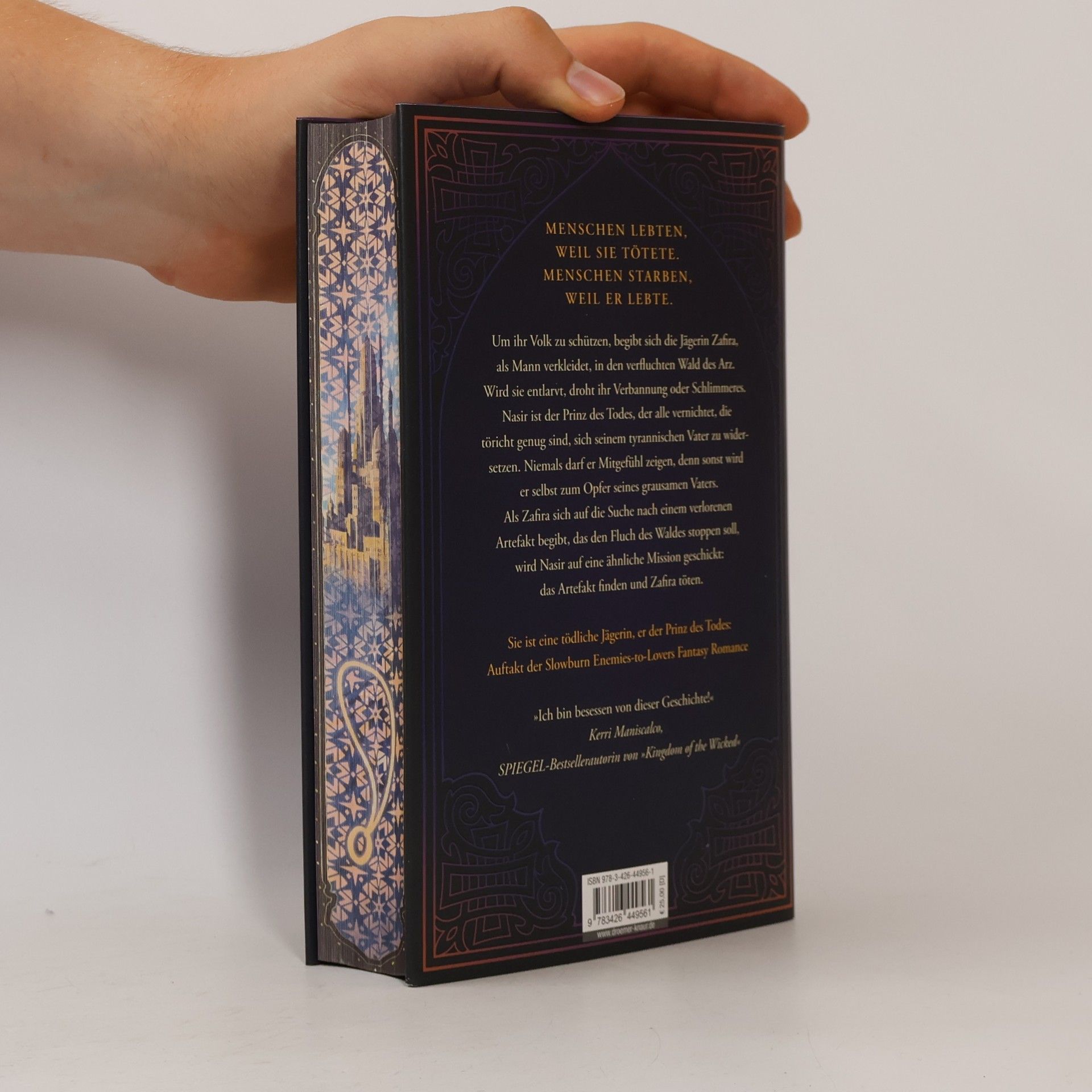 Hafsah Faizal We hunt the Flame / Die Reiche von Arawiya Bd.1