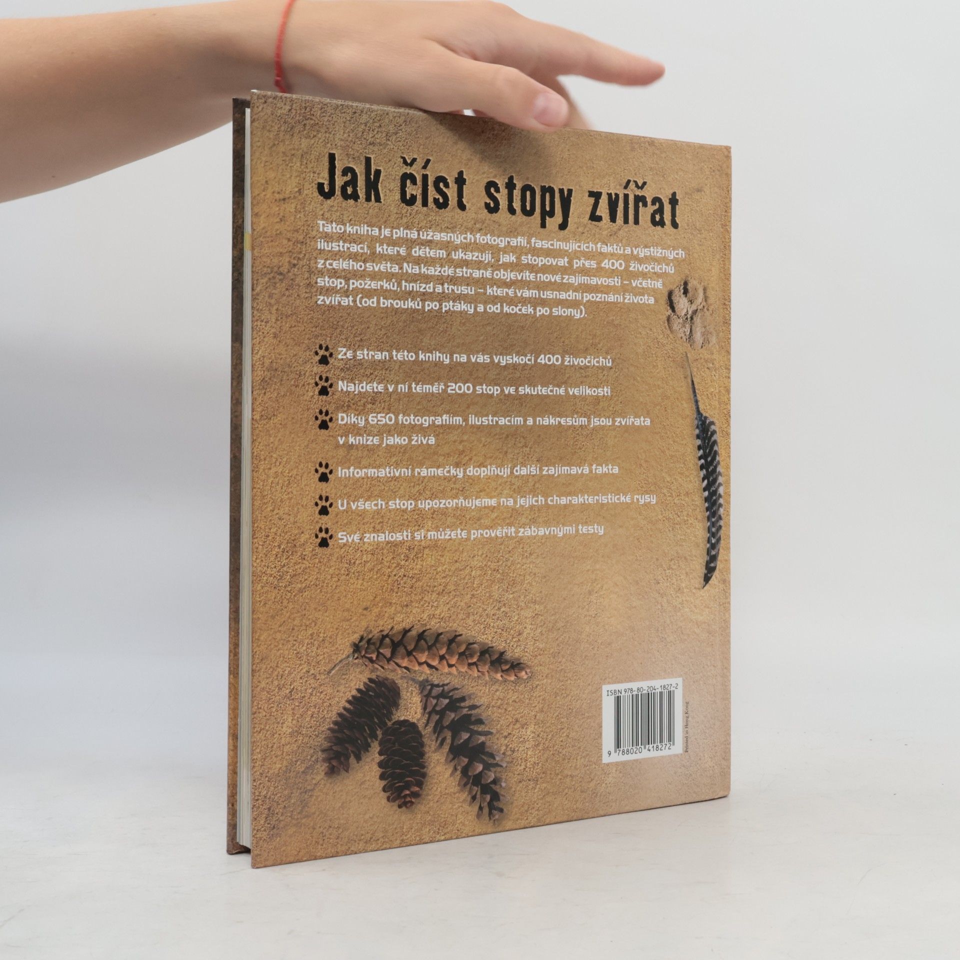 Jinny Johnson Jak číst stopy zvířat