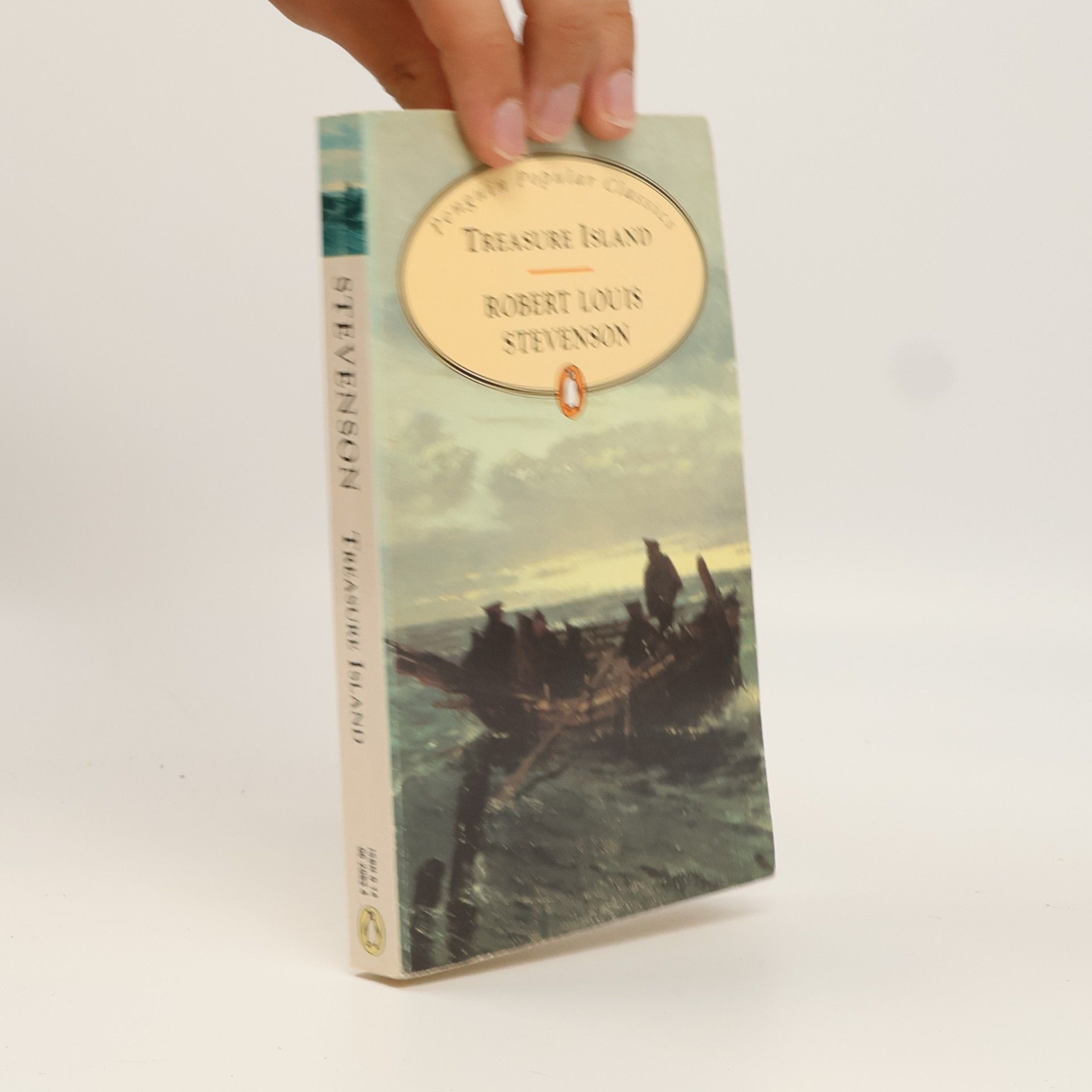 Robert Louis Stevenson Treasure Island