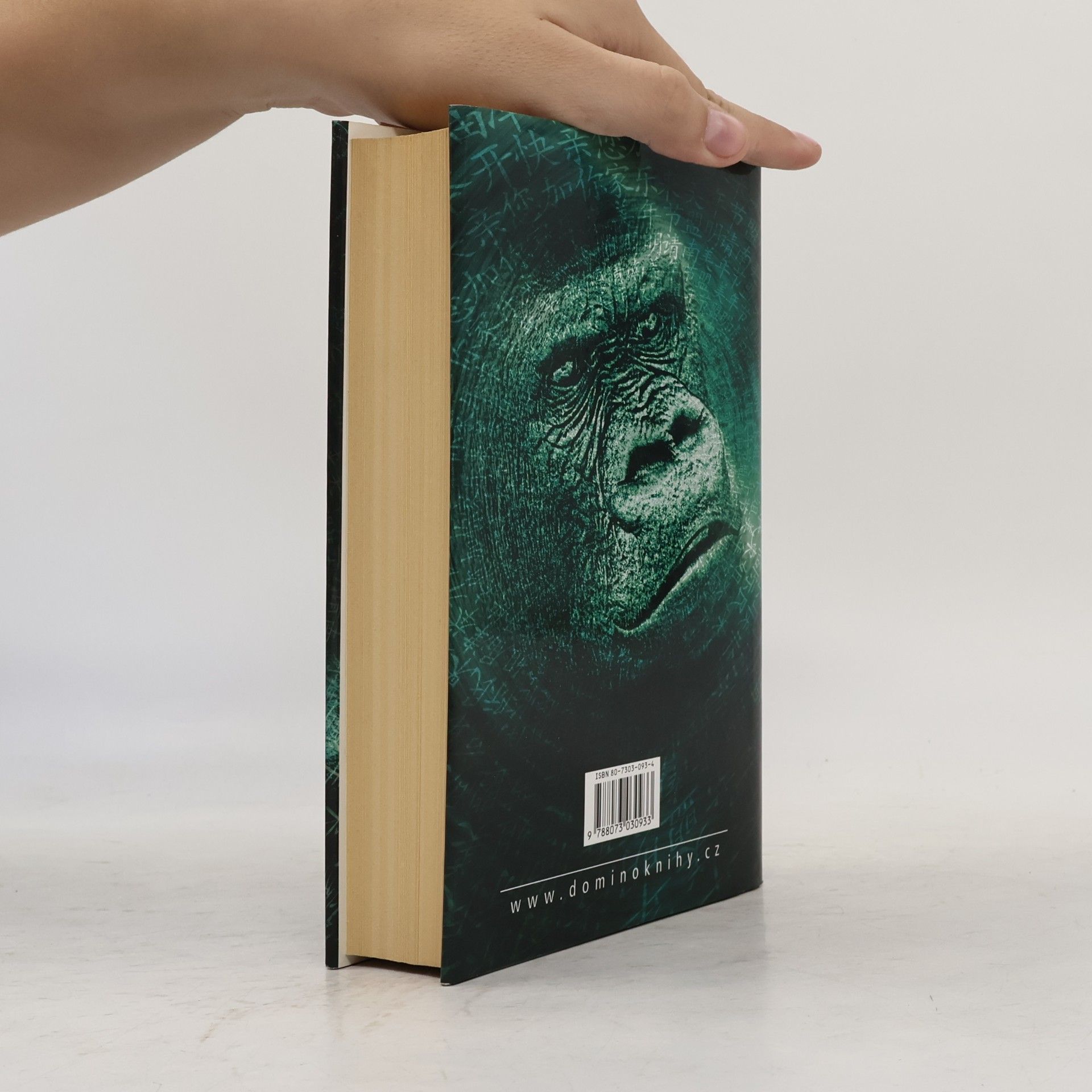 Jeffery Deaver Kamenná opice