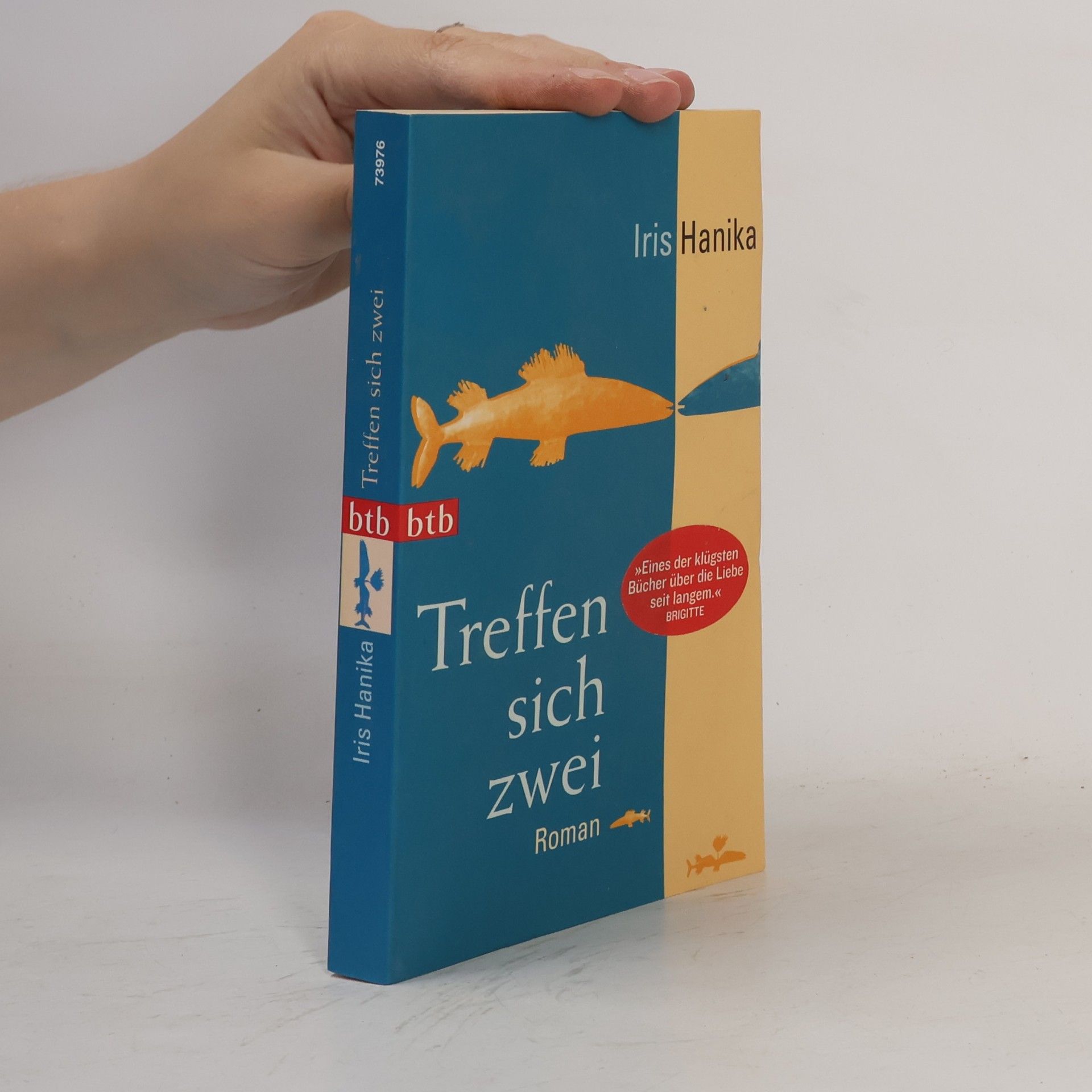 Iris Hanika Treffen sich zwei