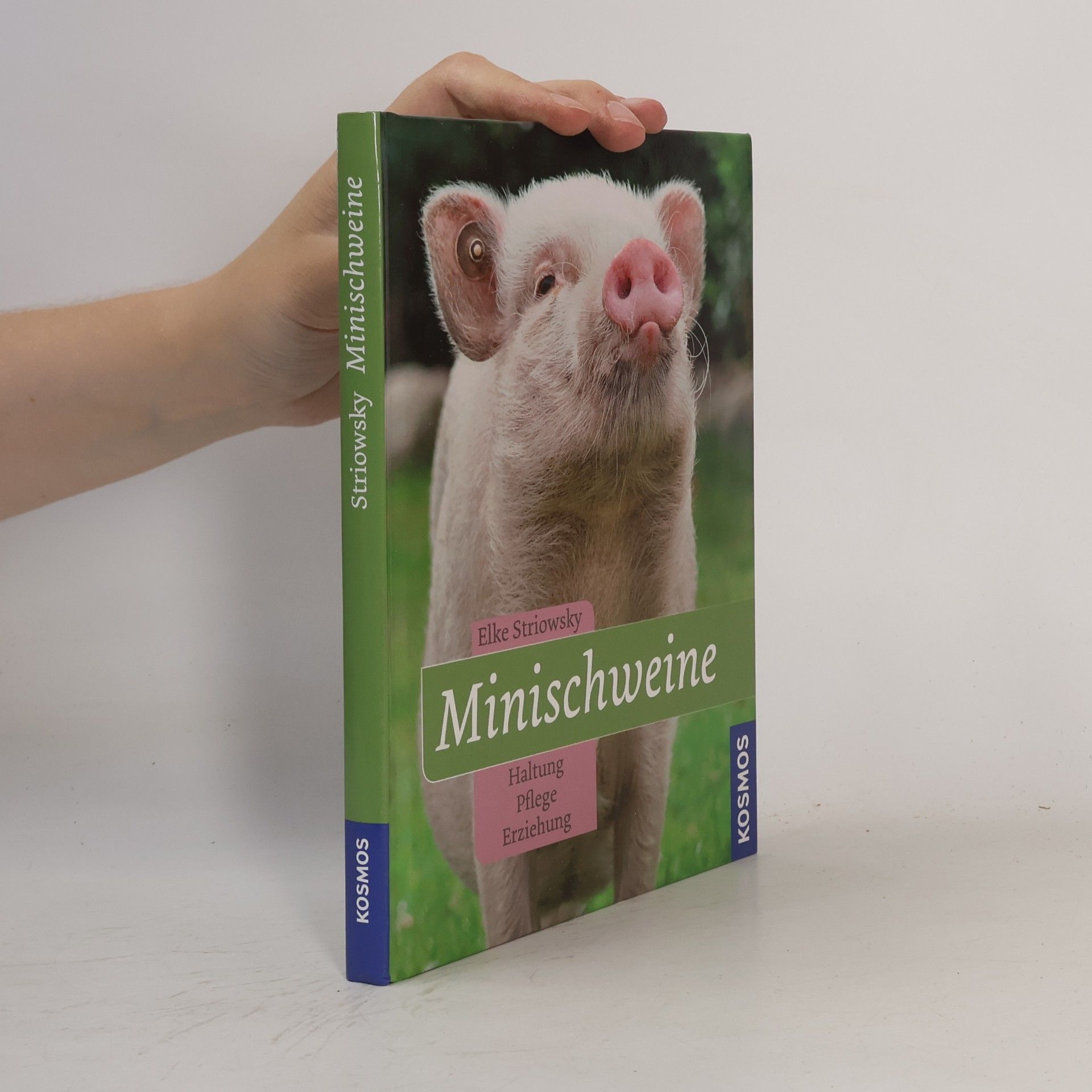 Elke Striowsky Minischweine