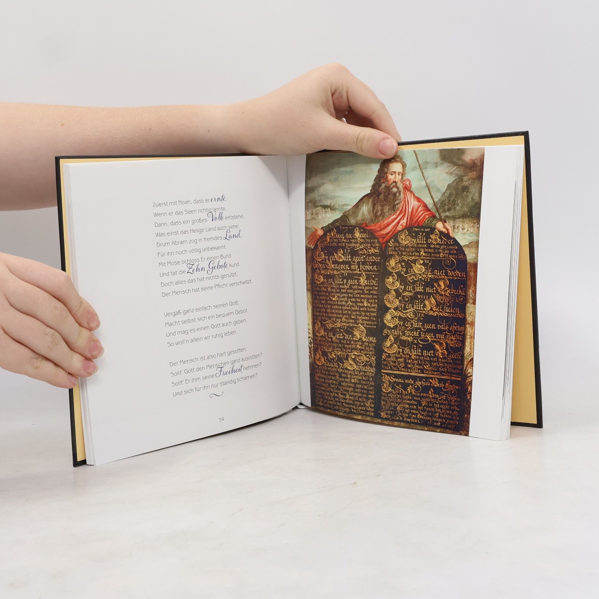 Solvey Resch Biblische Geschichte in Bildern und Reimen