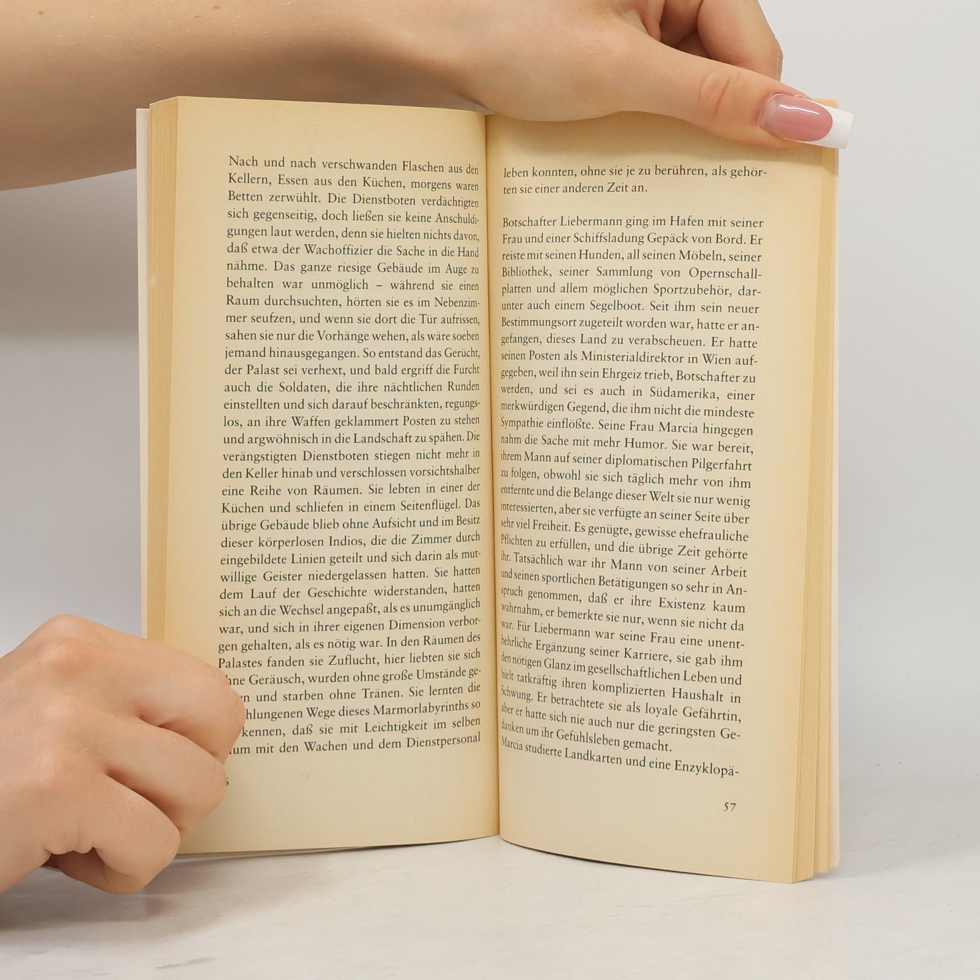 Isabel Allende Llona Eine Rache und andere Geschichten
