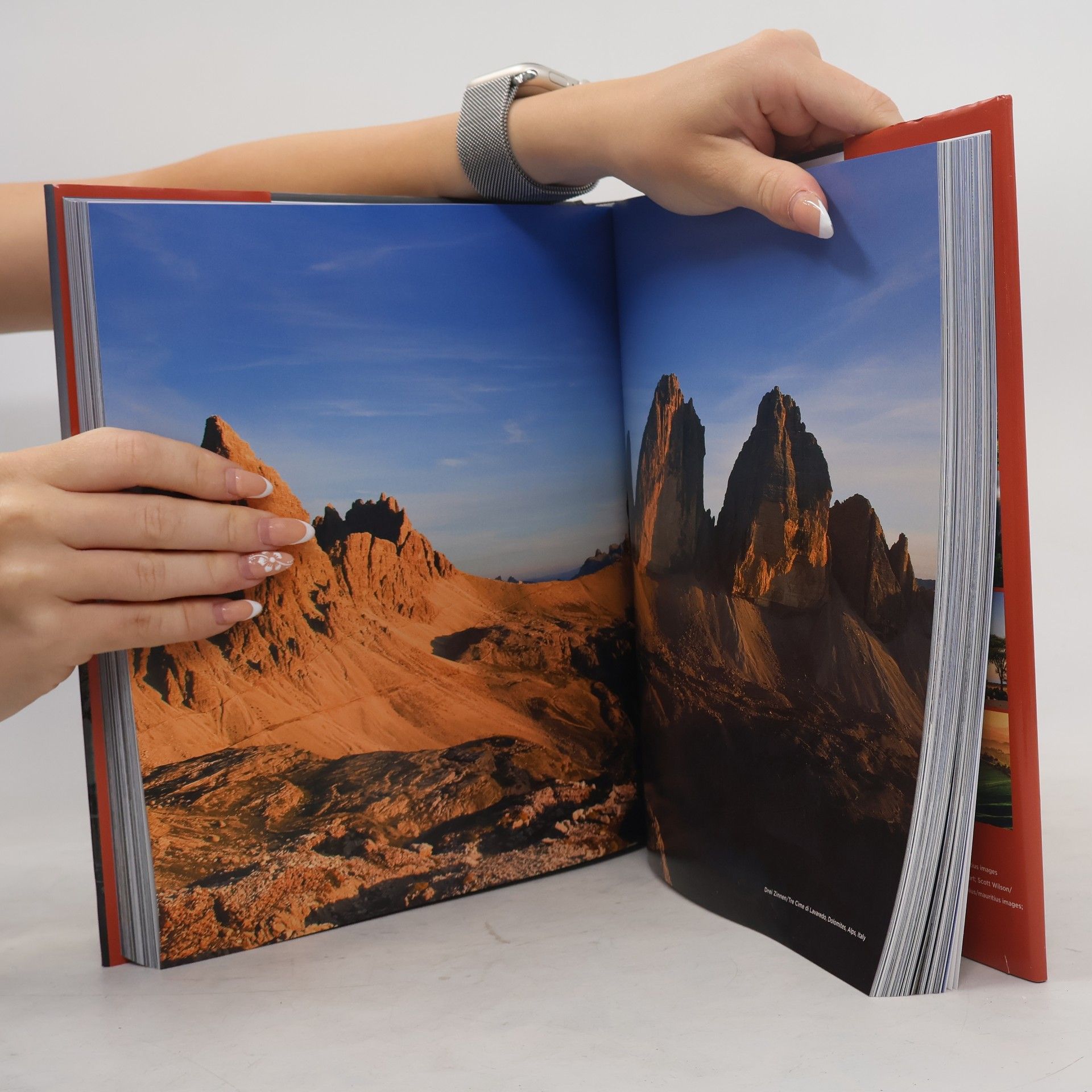 Udo Bernhart Fat Ferdy Spectacular: Mountains
