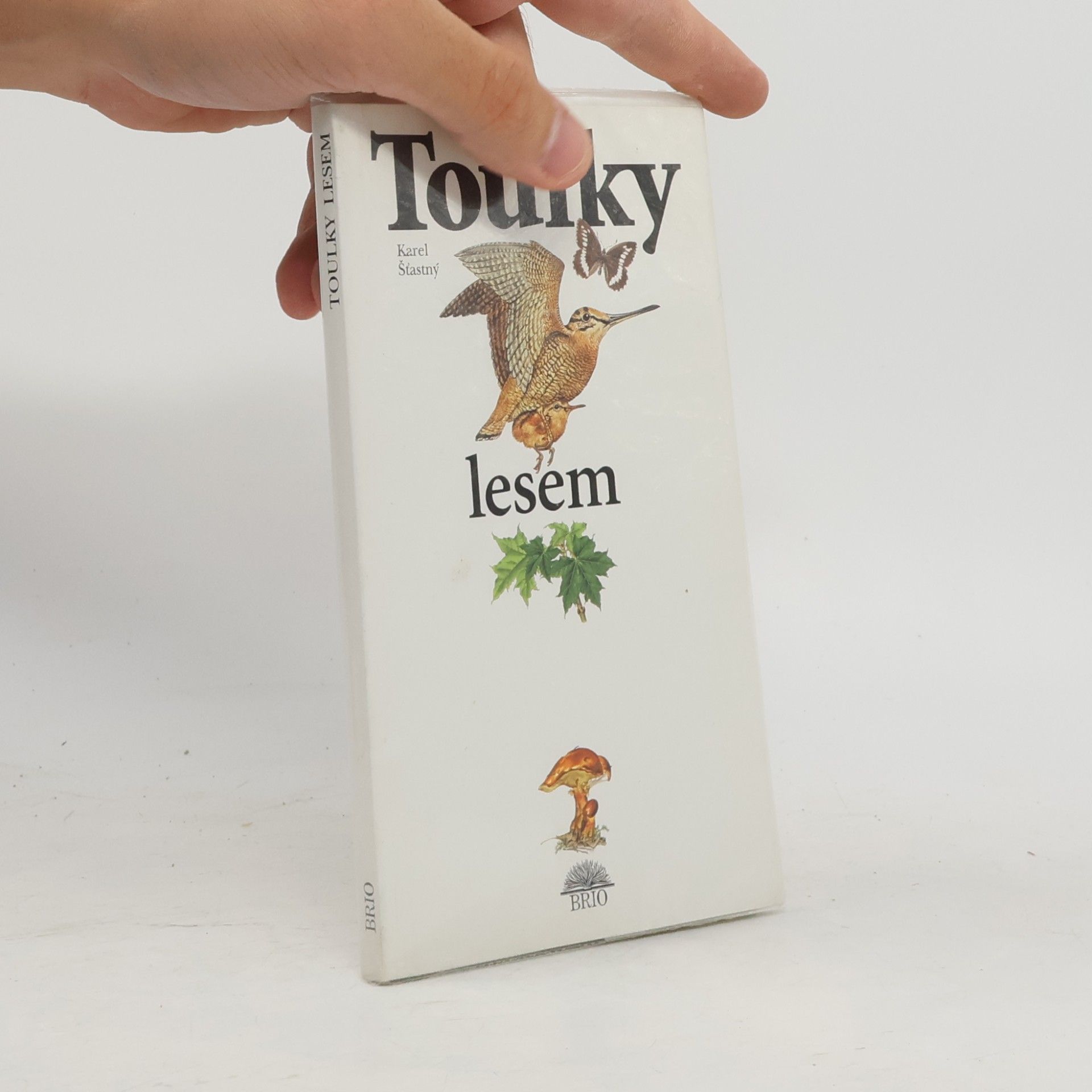 Eva Beberová Toulky lesem