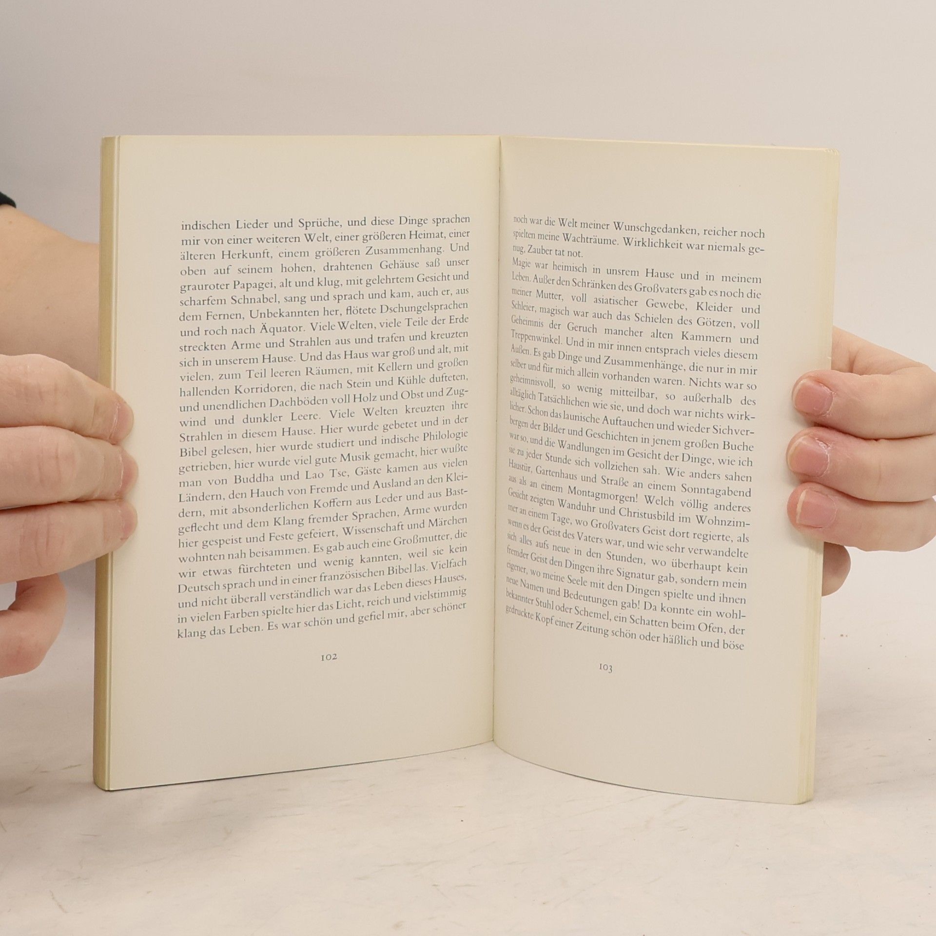 Hermann Hesse Kindheit des Zauberers