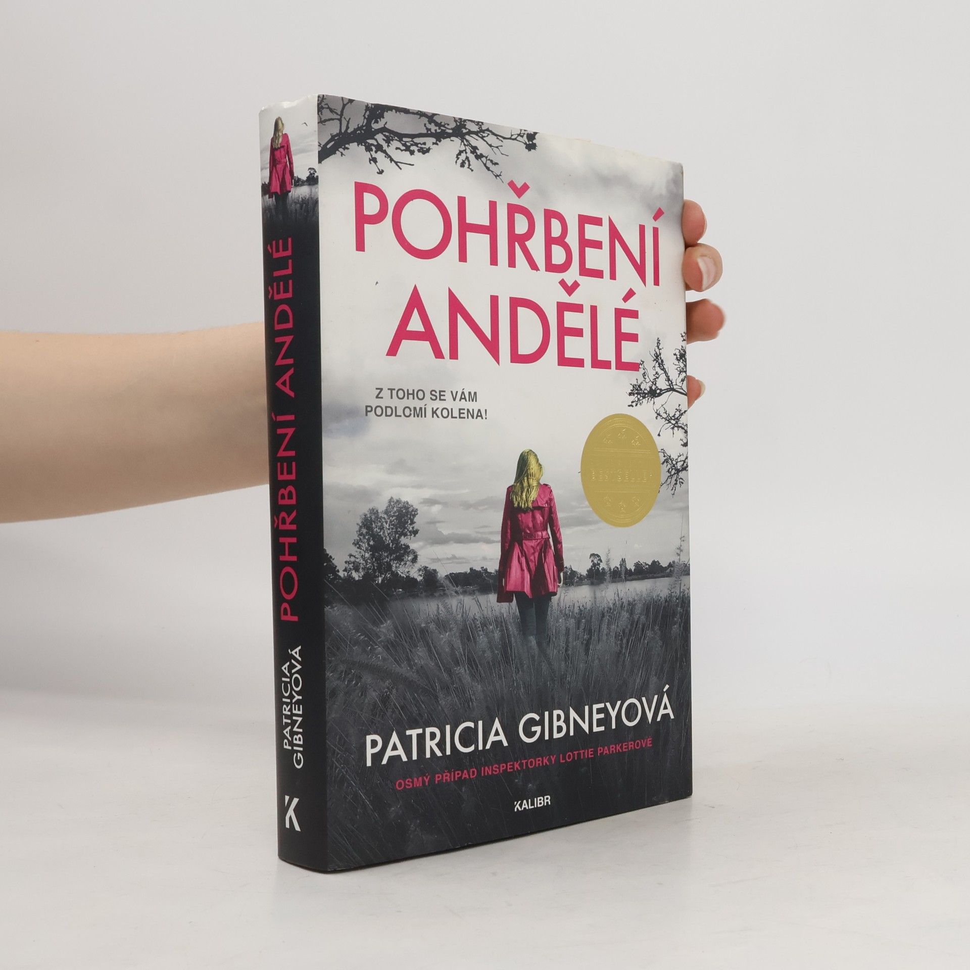 Patricia Gibney Pohřbení andělé
