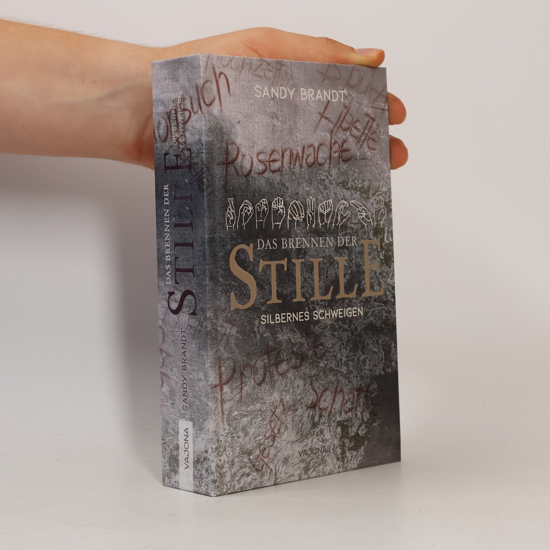DAS BRENNEN DER STILLE - Silbernes Schweigen (Band 2)