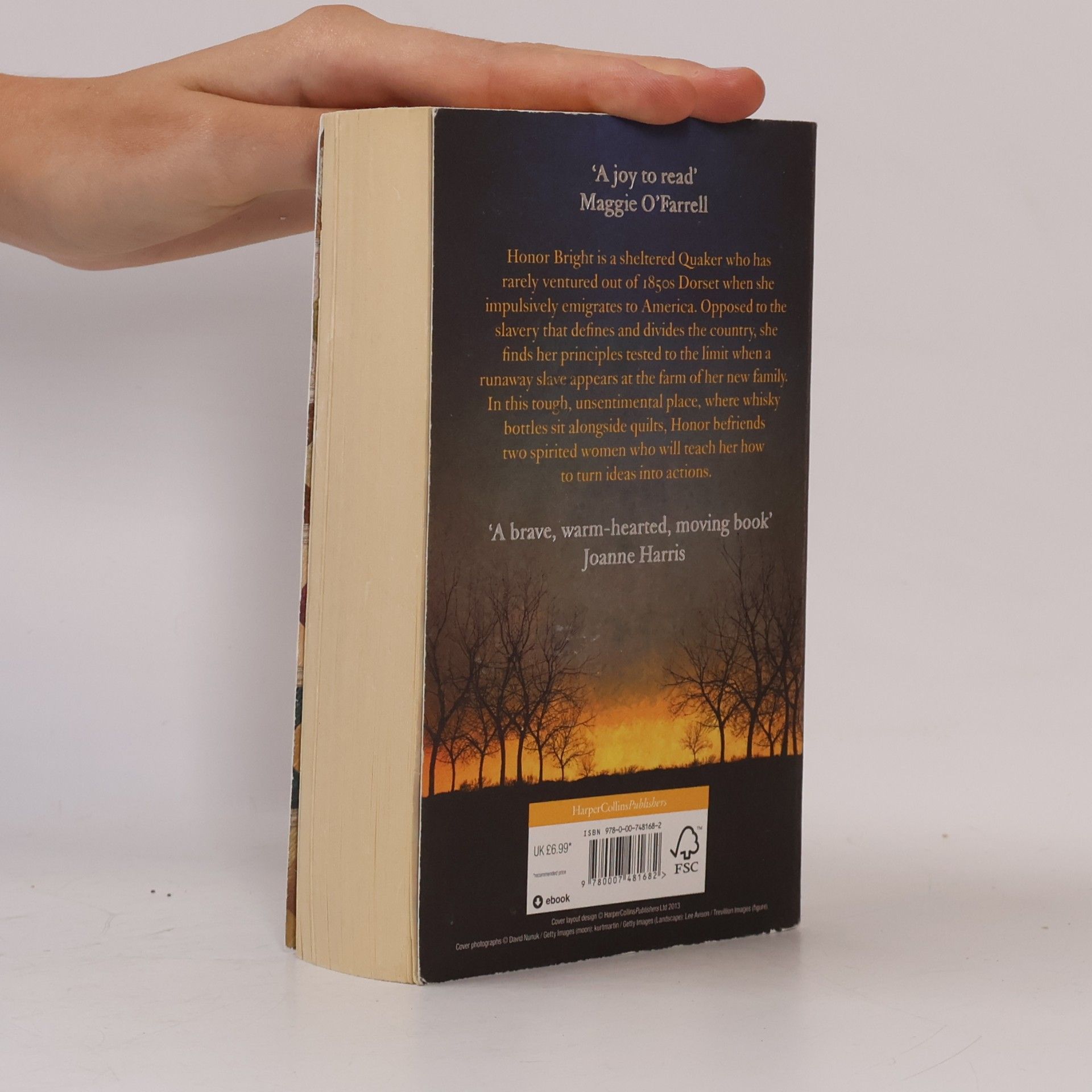 Tracy Chevalier The Last Runaway