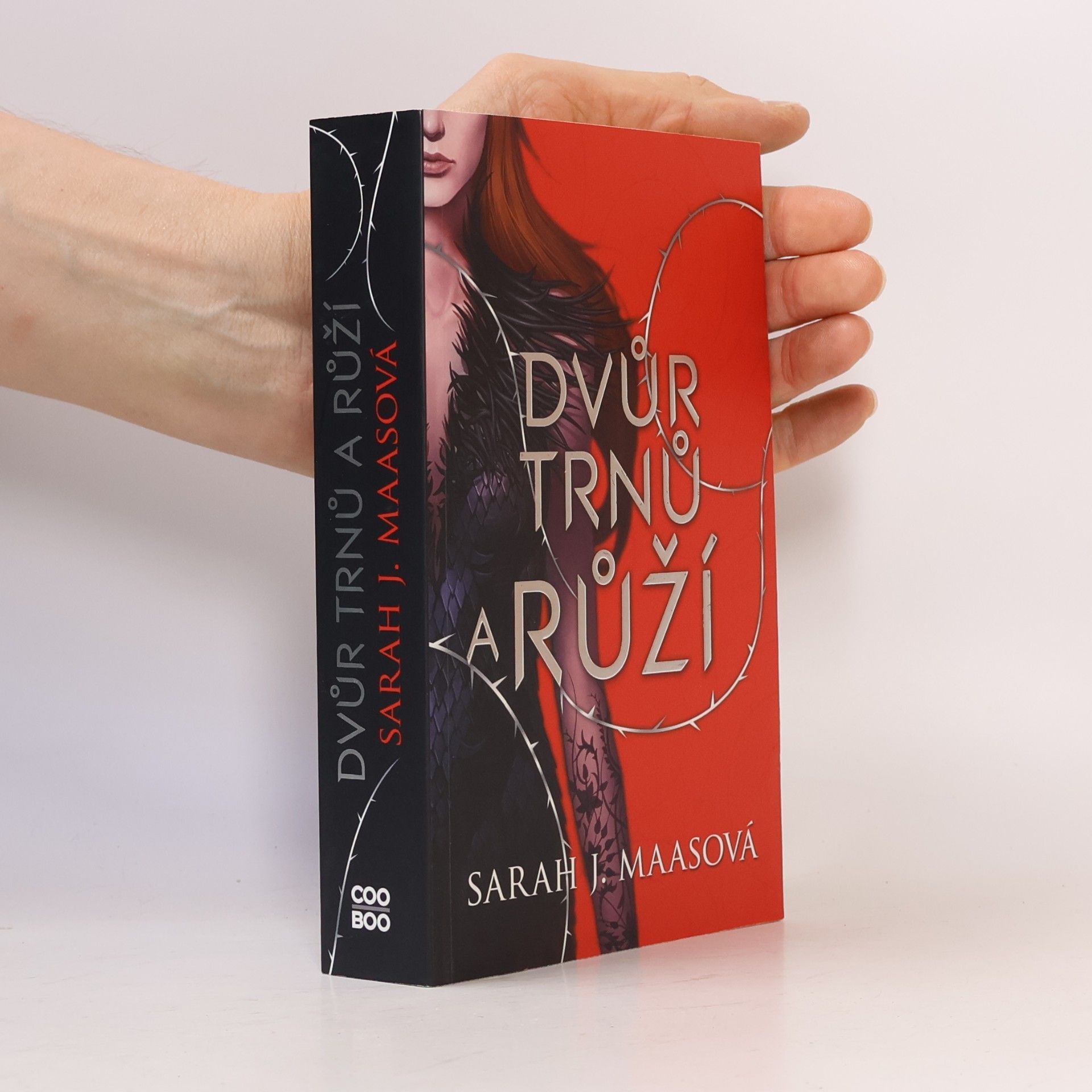 Sarah J. Maas Dvůr trnů a růží