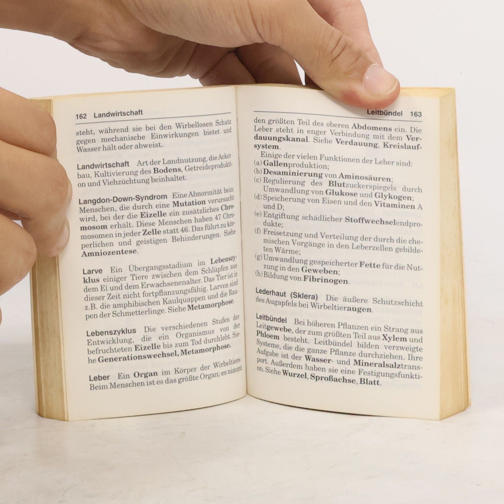 T. A. MacCahill Eichborns Taschen-Uni: Biologie von A - Z