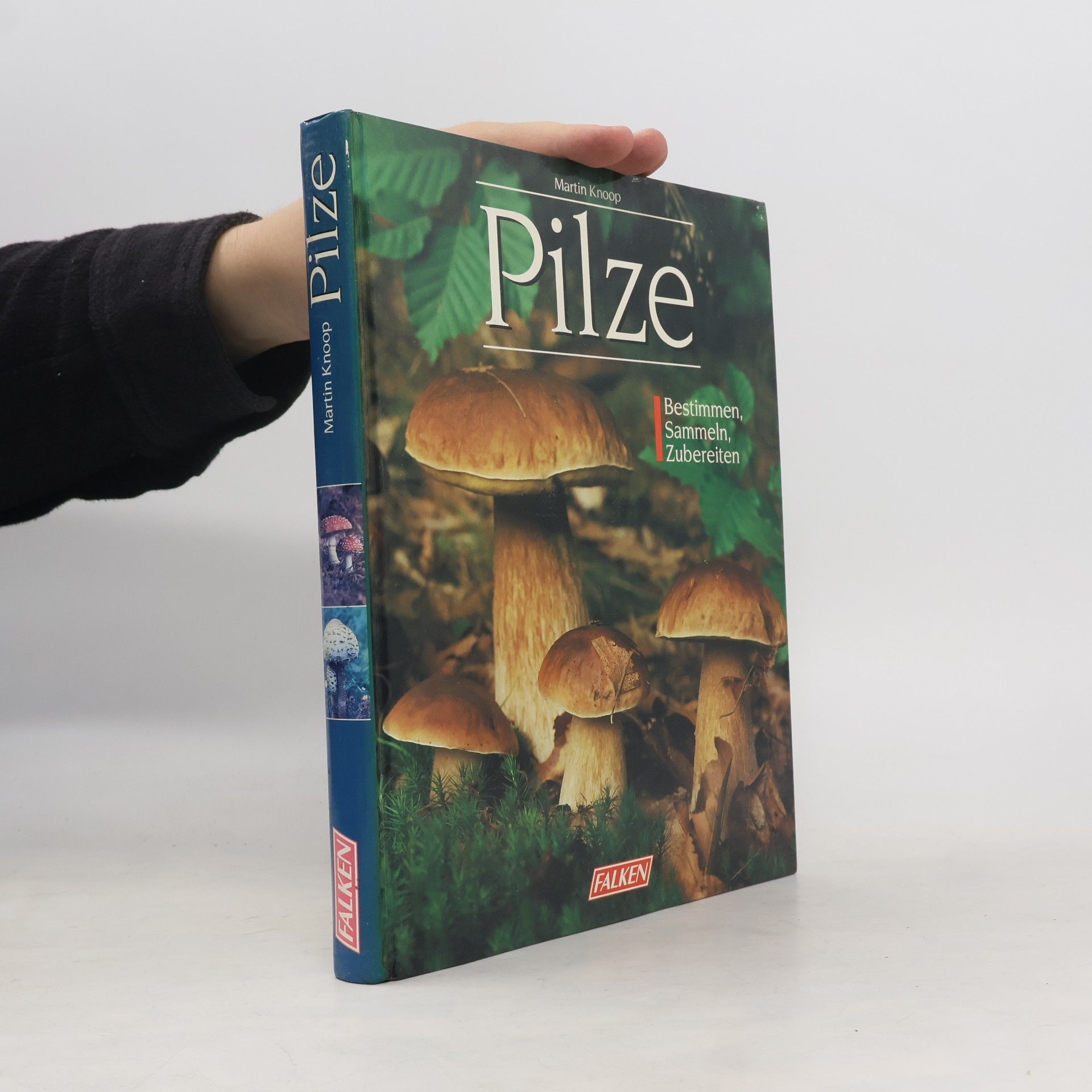 Martin Knoop Pilze