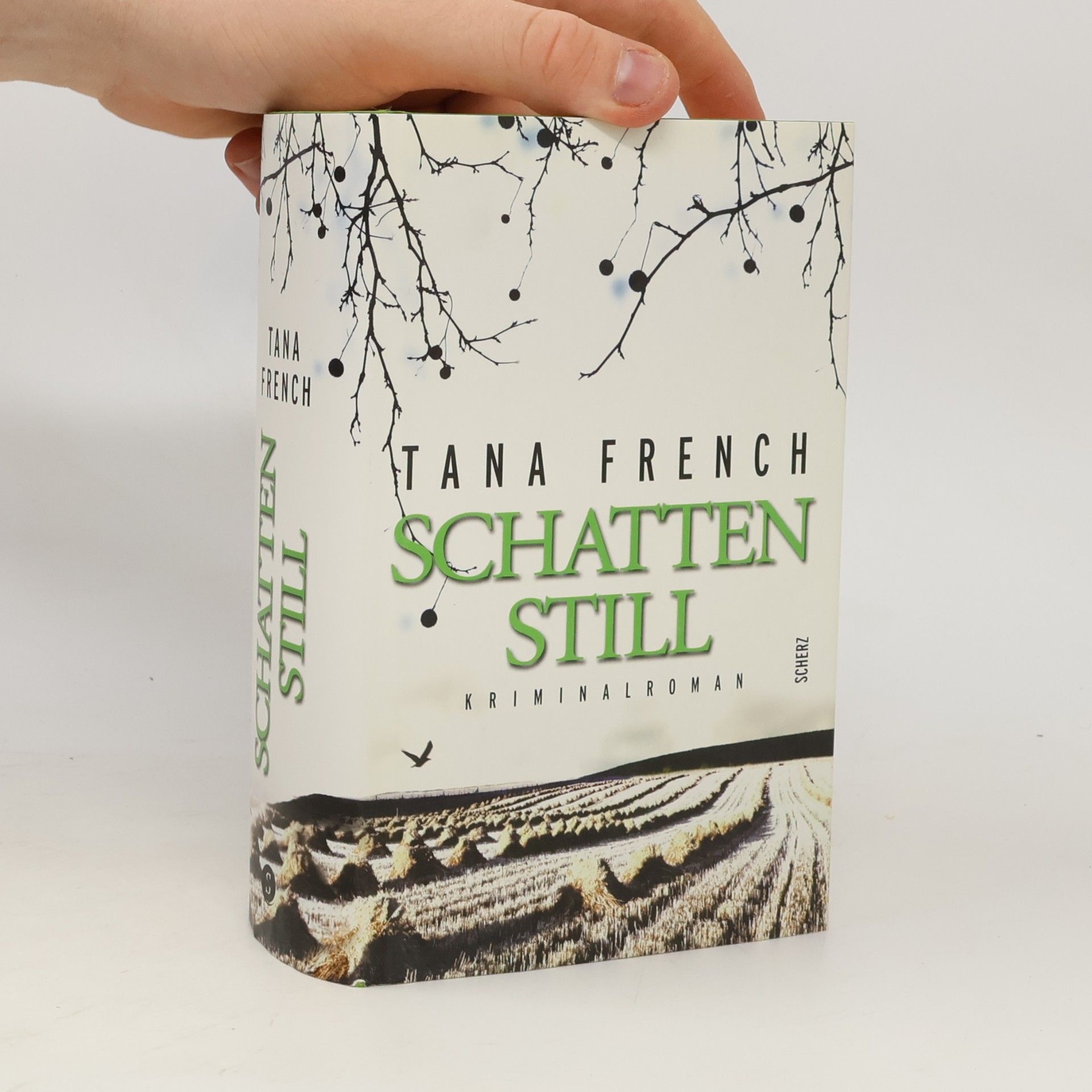 Tana French Schattenstill