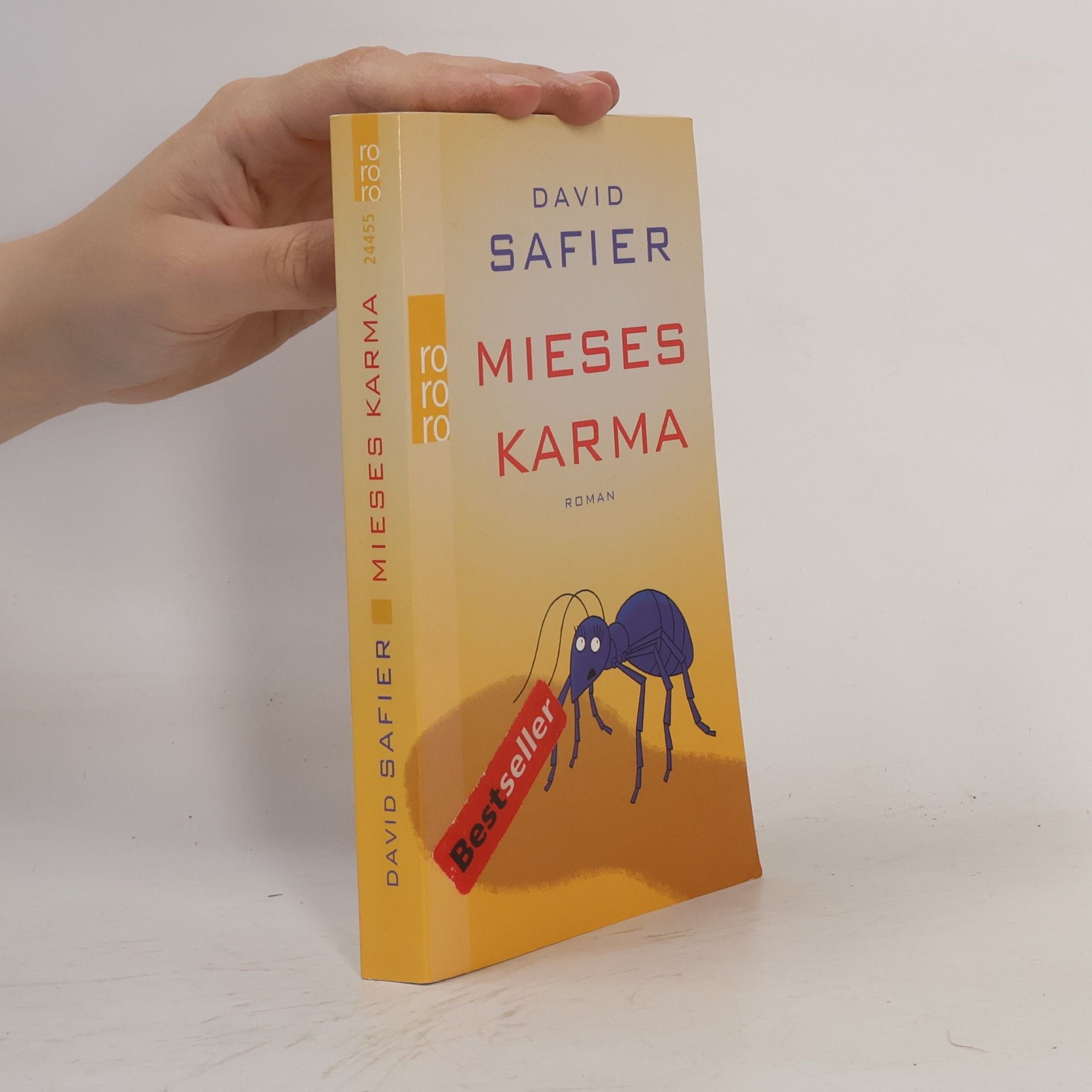David Safier Mieses Karma