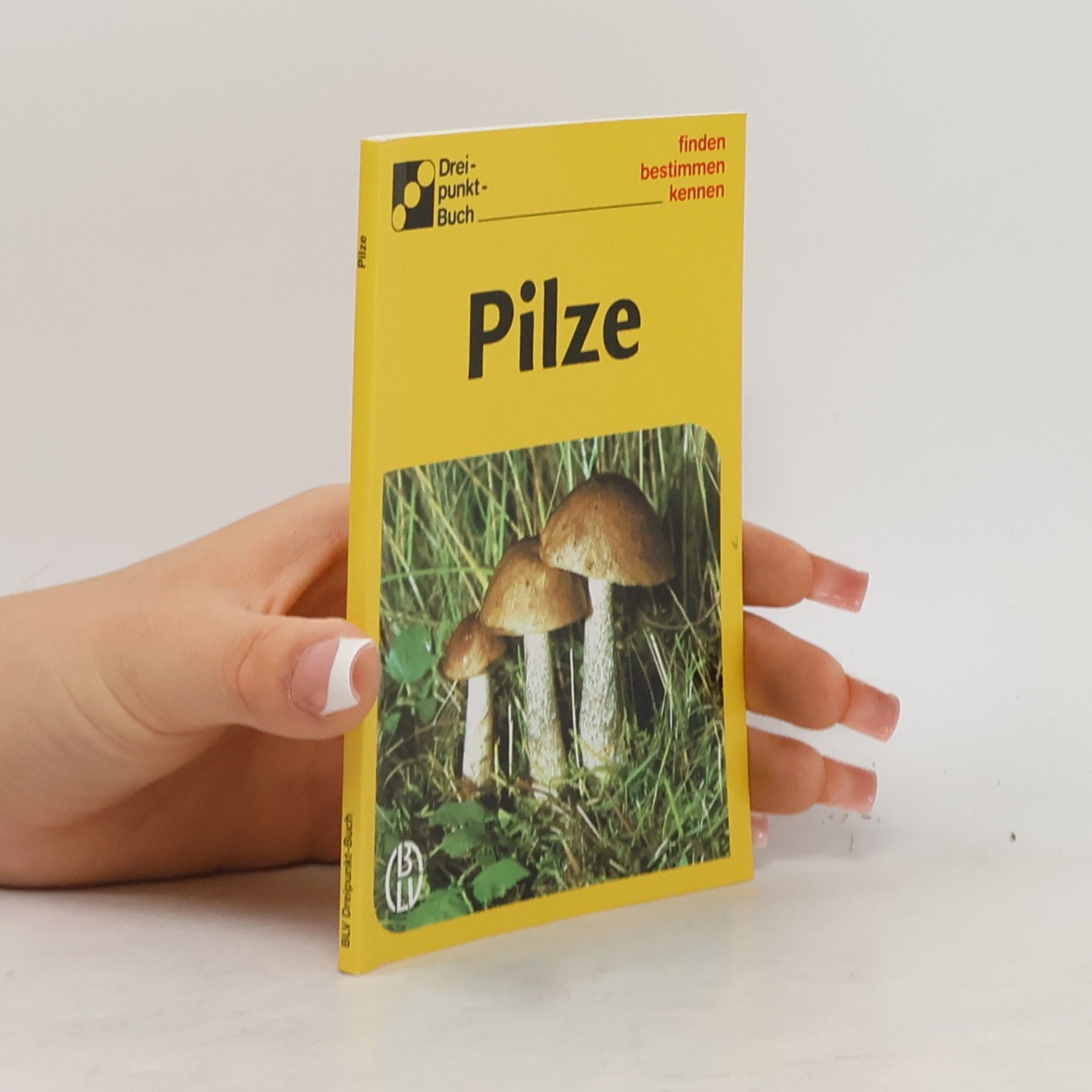 Alfred Handel Pilze