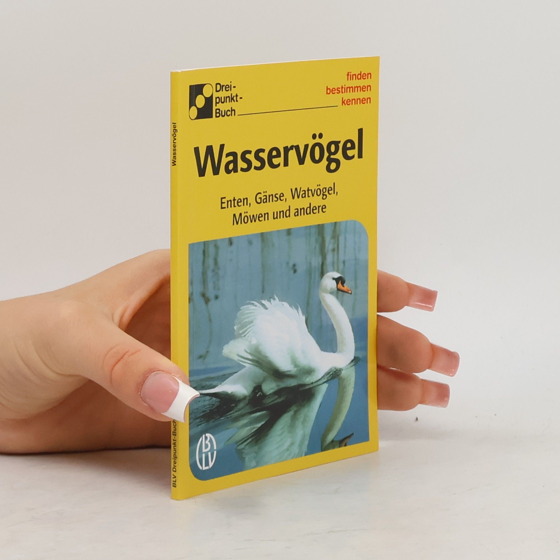 Wasservögel