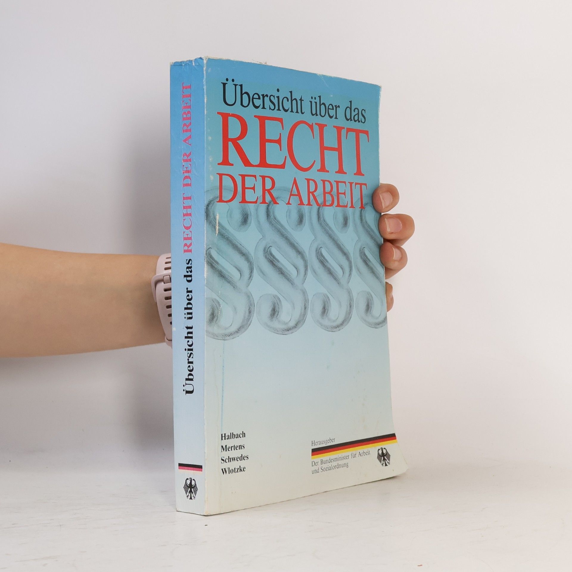 Autorenkollektiv Übersicht über das Recht der Arbeit