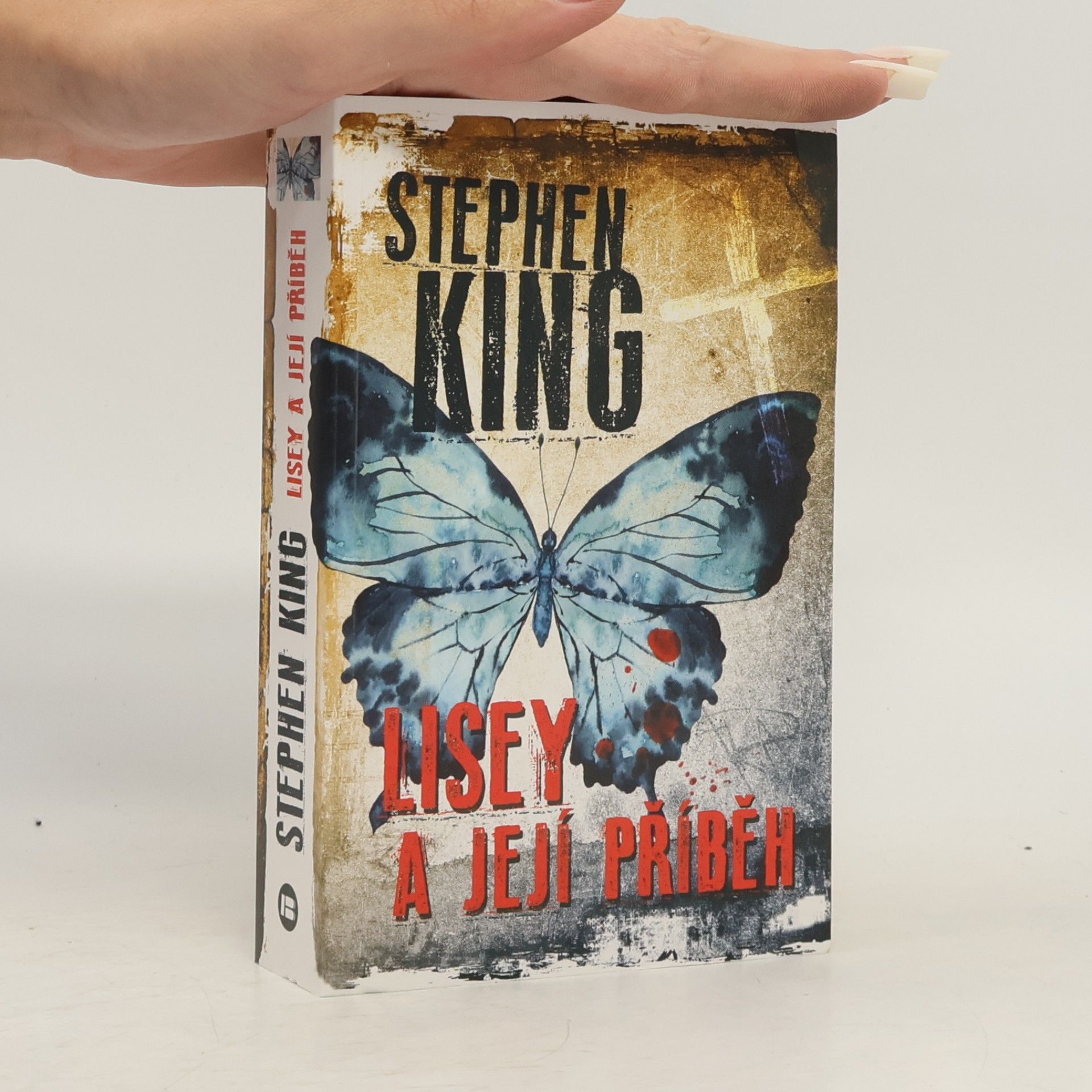 Stephen King Lisey a její příběh