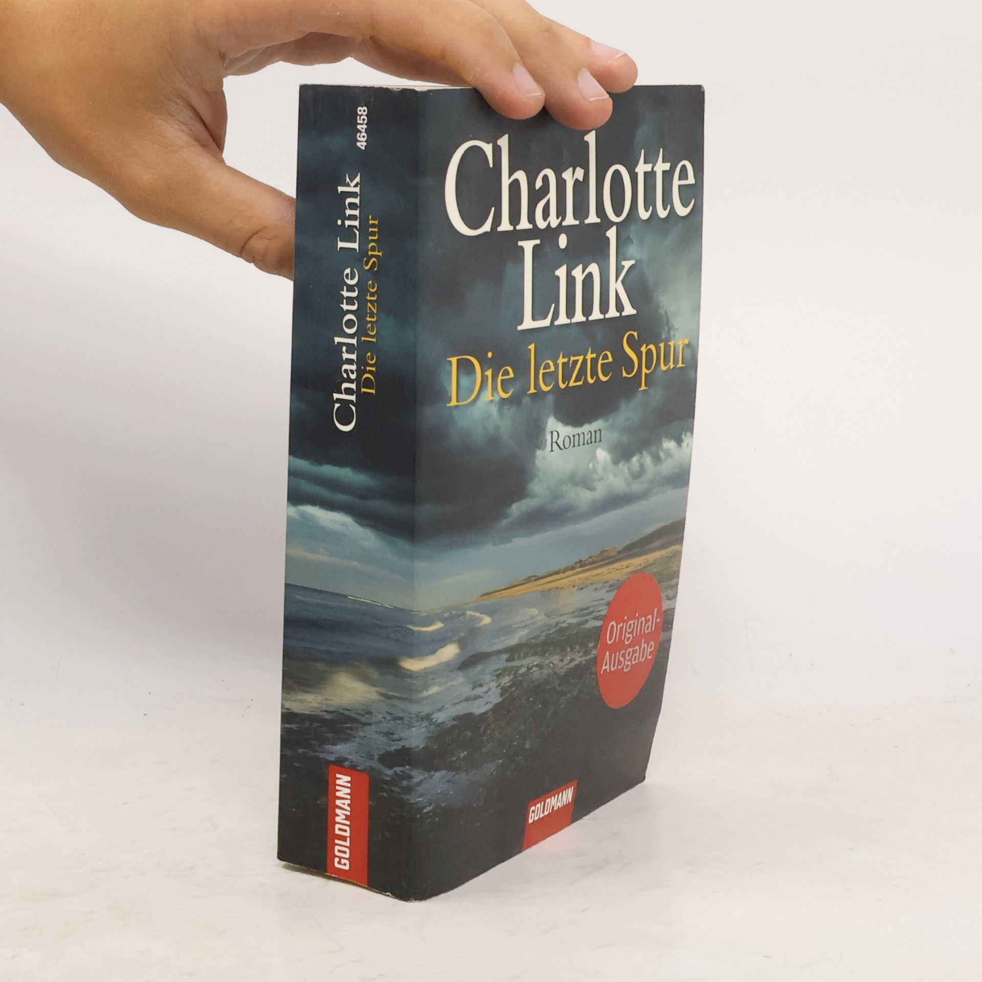 Charlotte Link Die letzte Spur