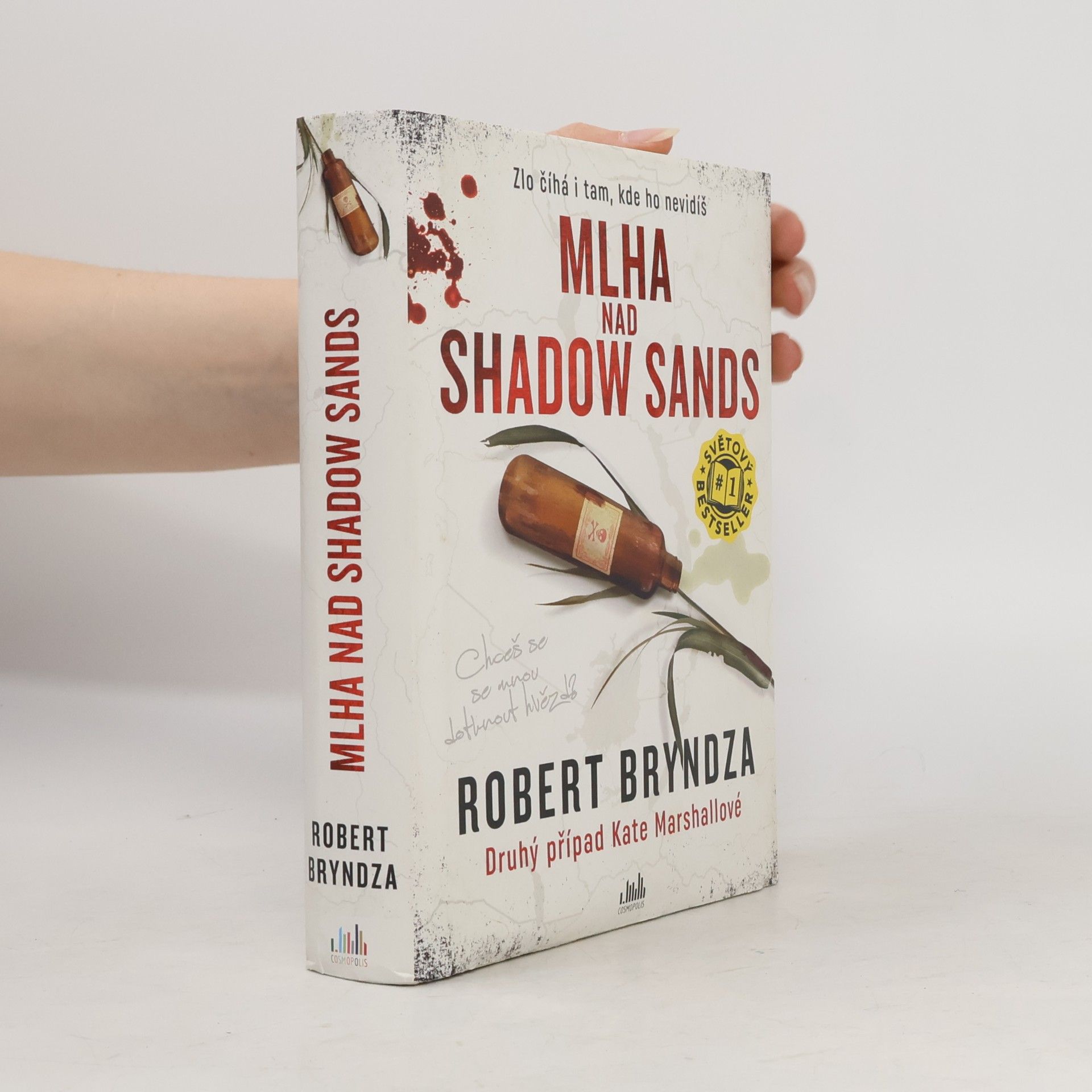 Robert Bryndza Mlha nad Shadow Sands