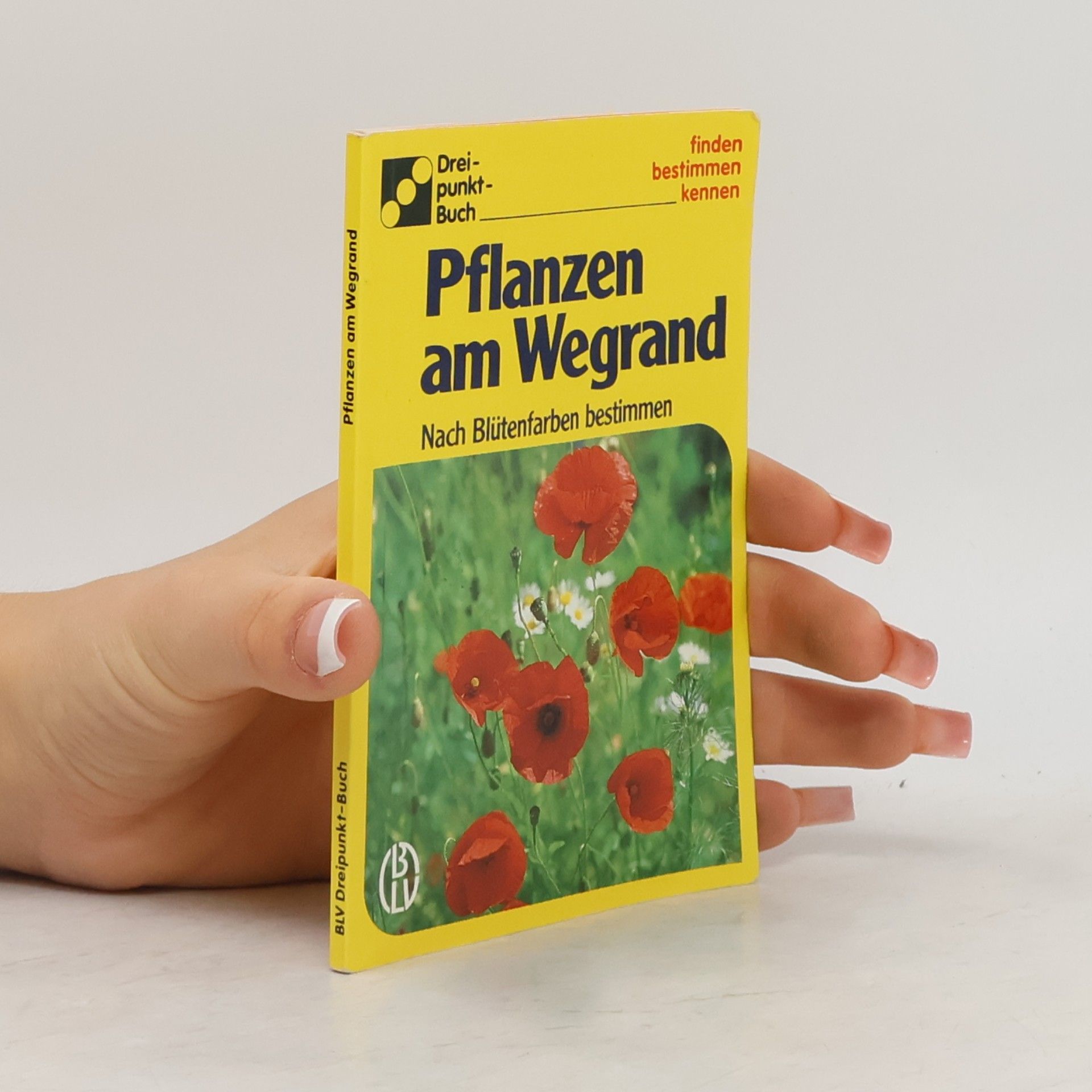 Alfred Handel Pflanzen am Wegrand