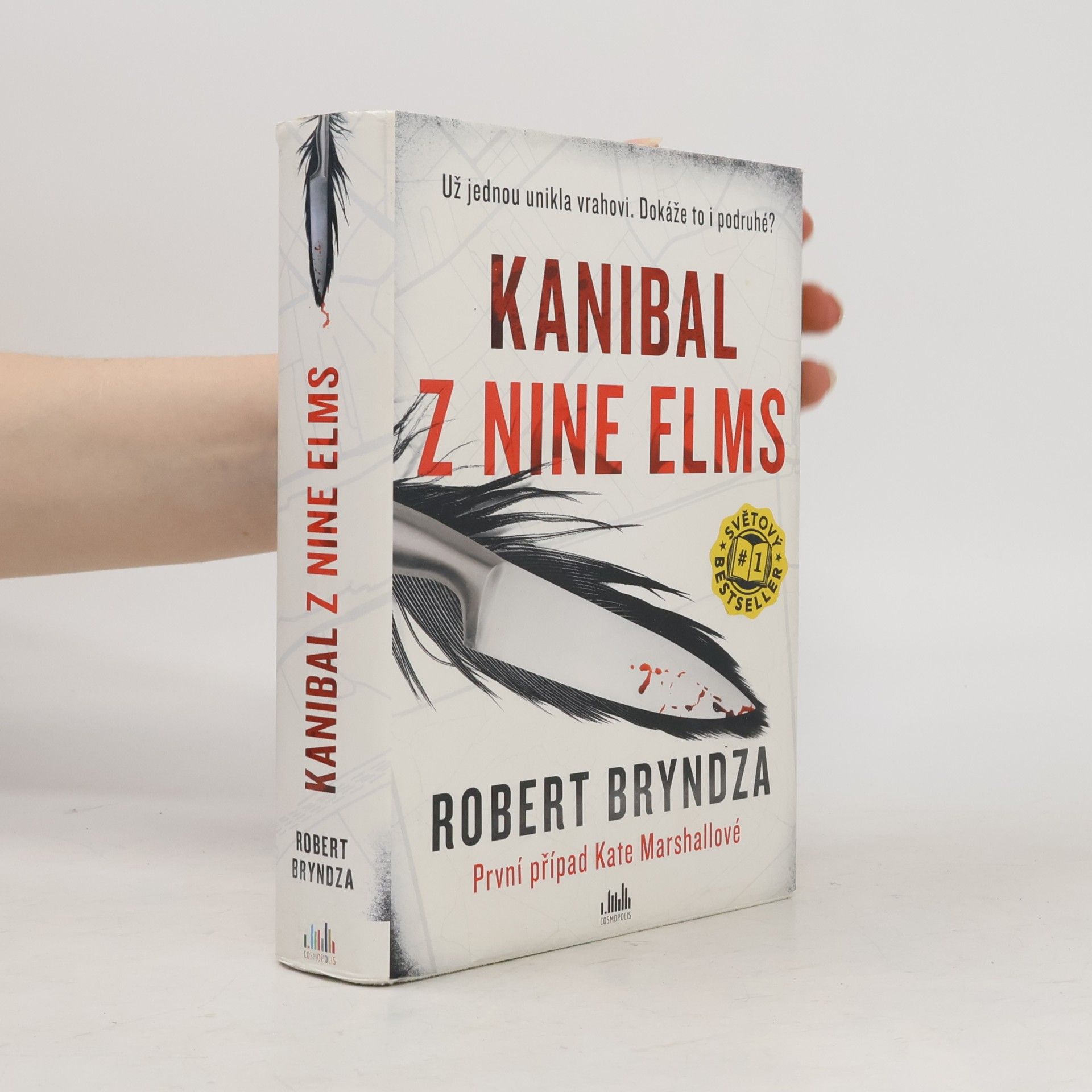 Robert Bryndza Kanibal z Nine Elms