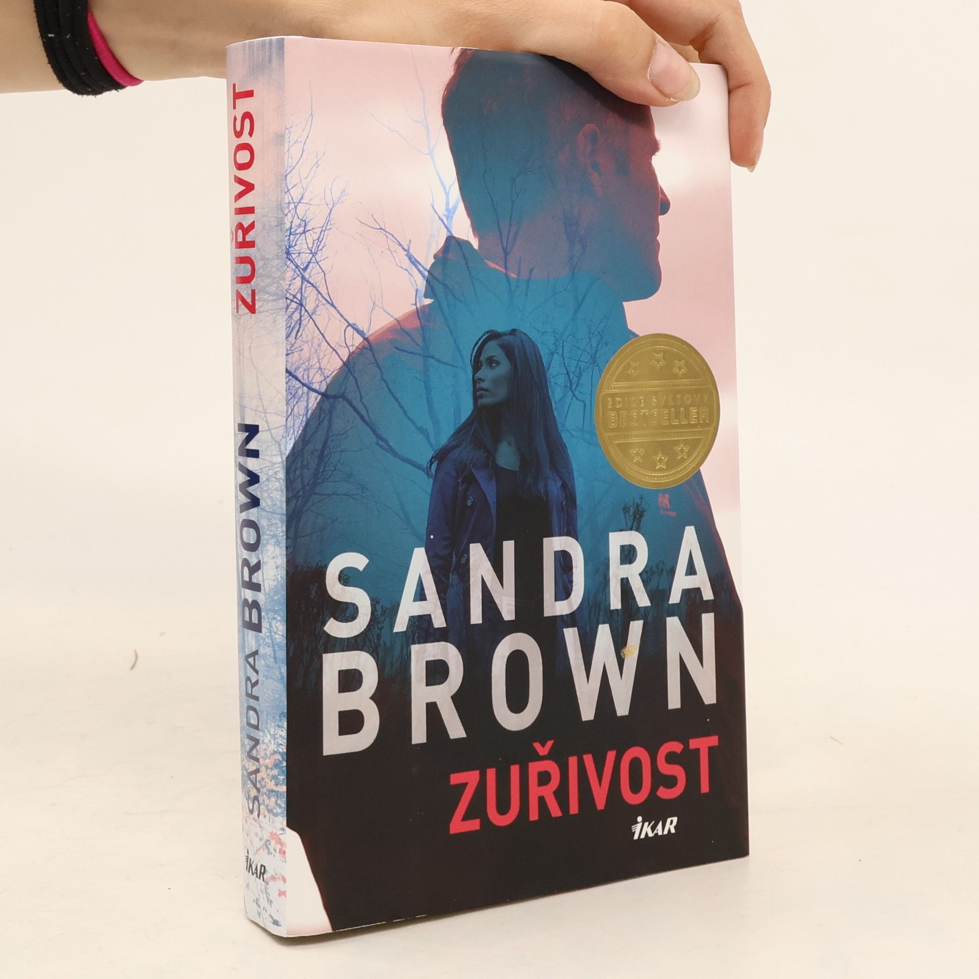 Sandra Brown Zuřivost