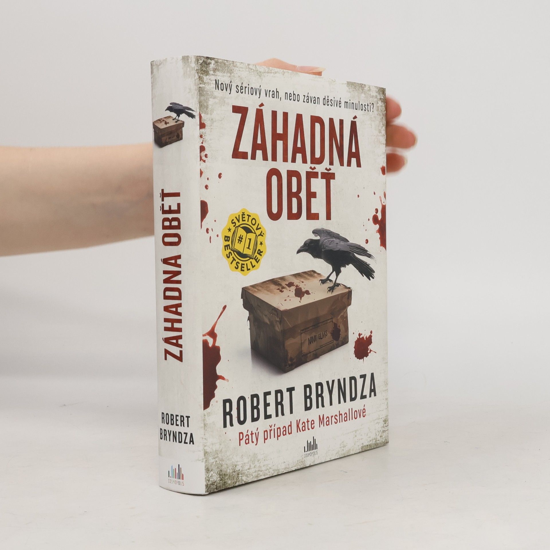 Robert Bryndza Záhadná oběť