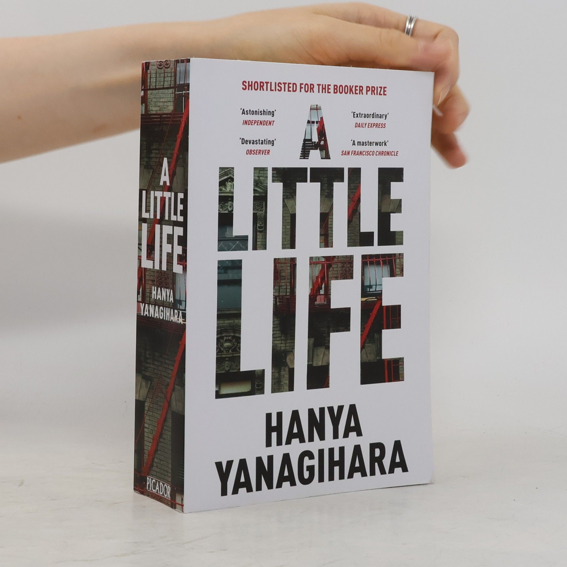 A Little Life