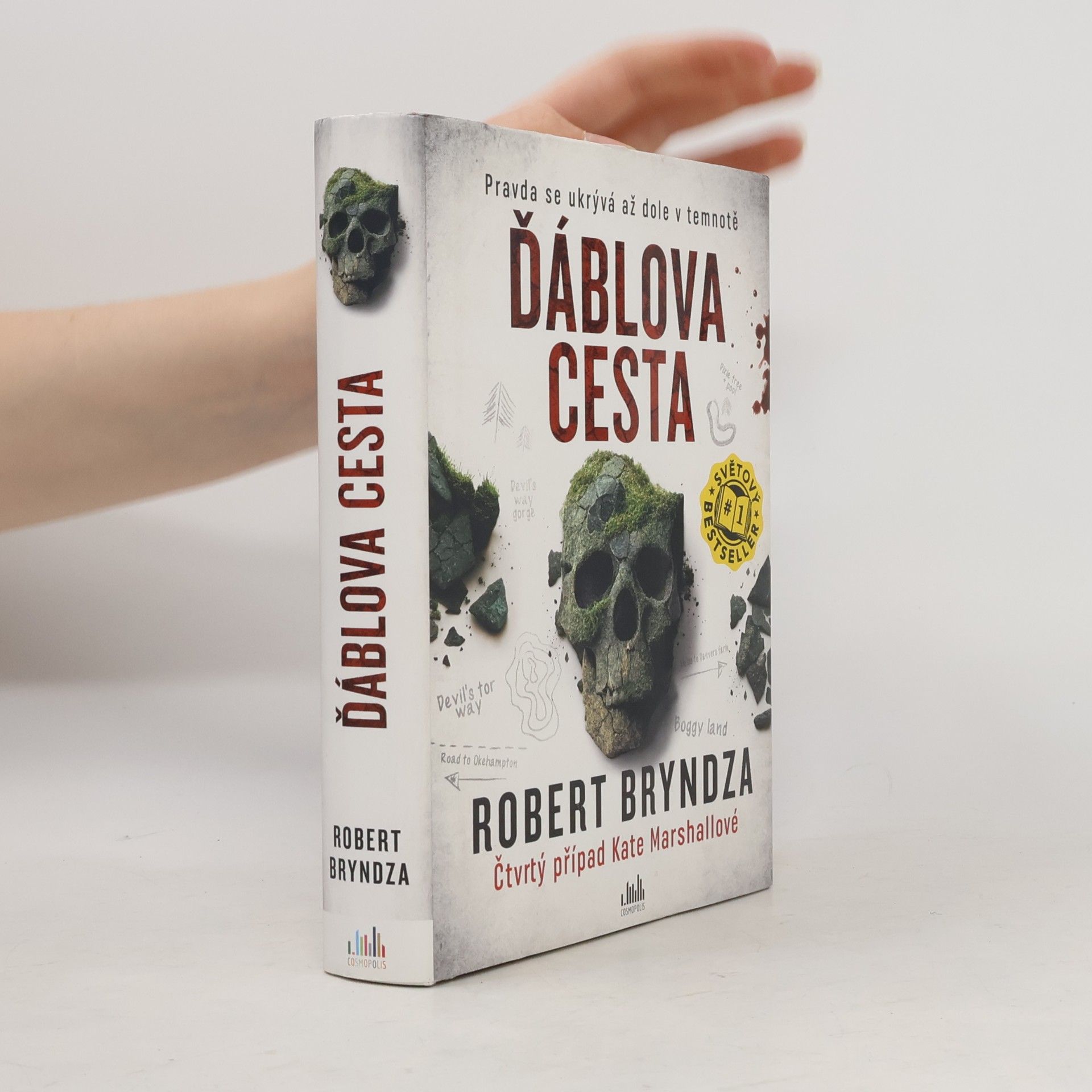 Robert Bryndza Ďáblova cesta