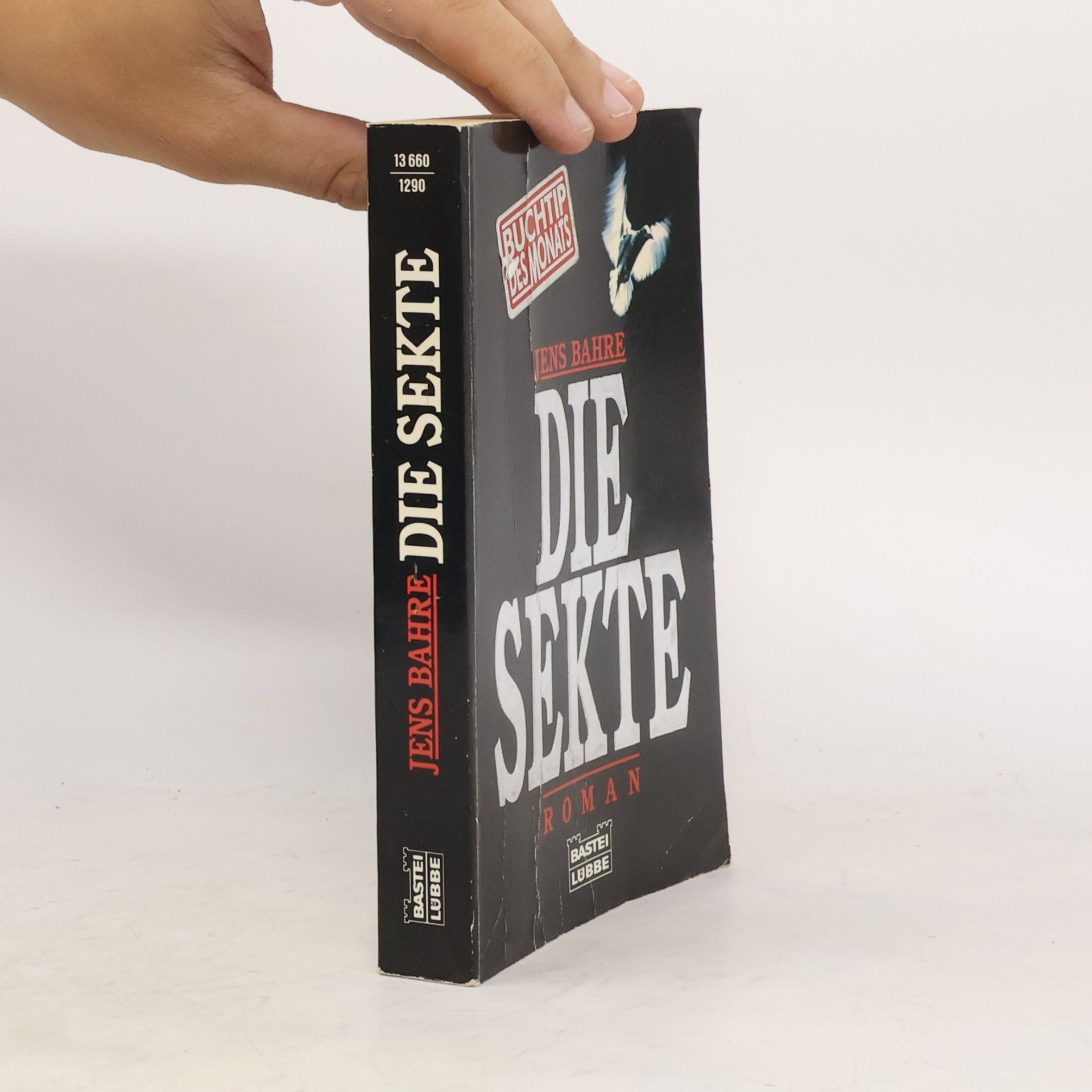 Jens Bahre Die Sekte