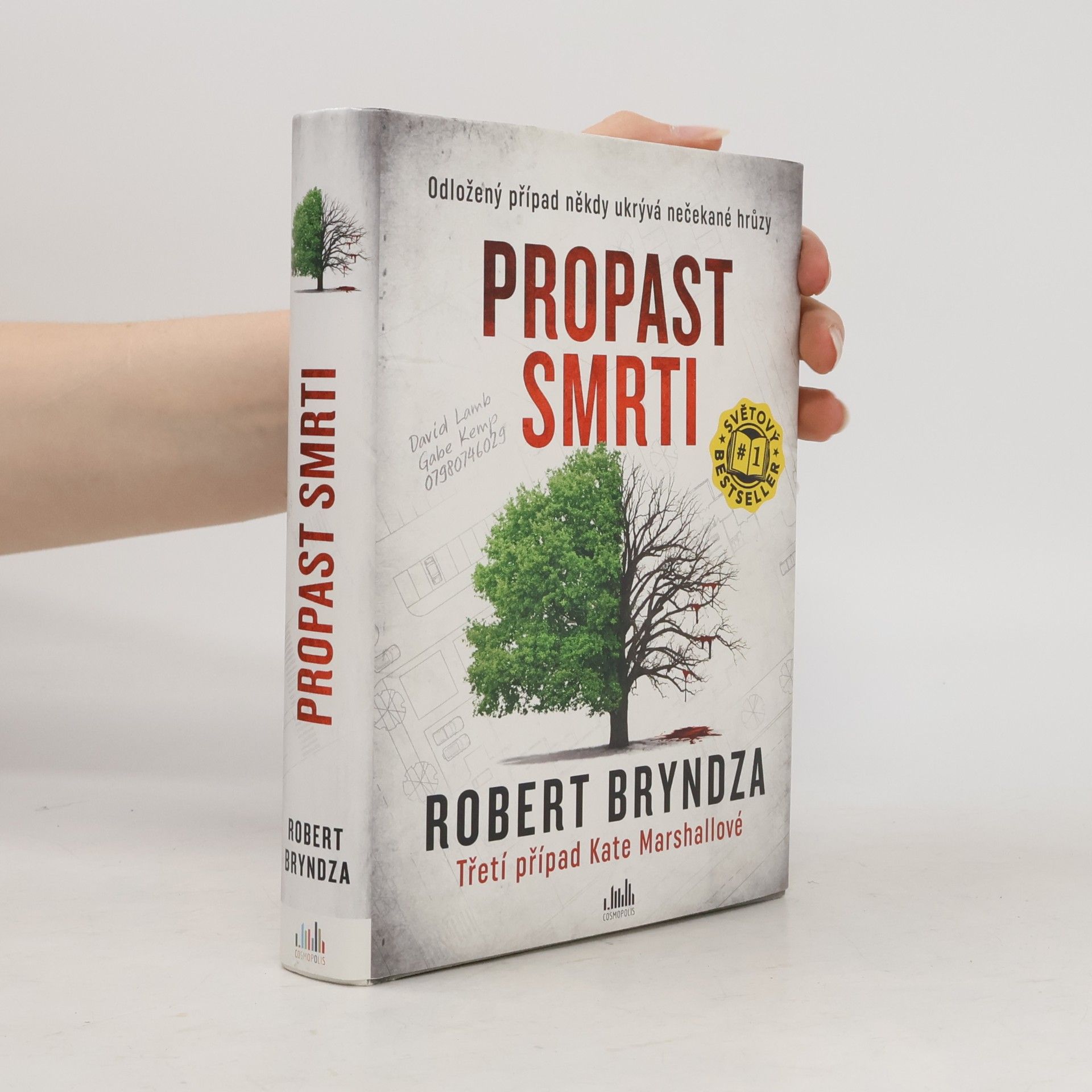 Propast smrti