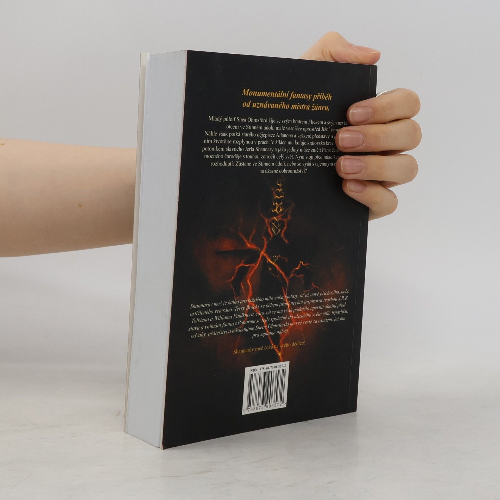 Terry Brooks Shannarův meč