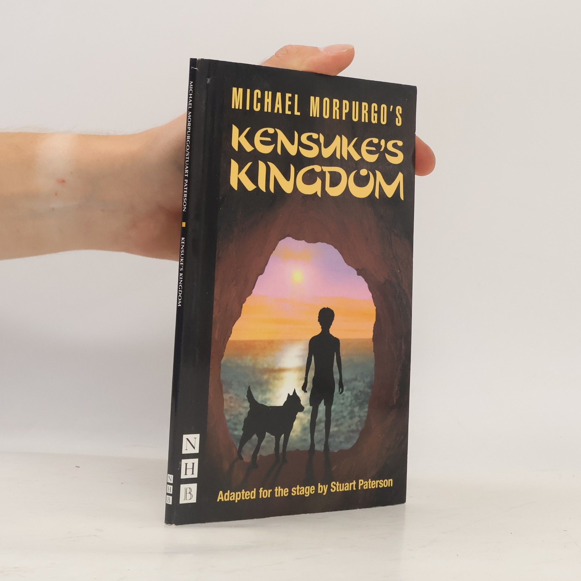 Stuart Paterson NHB Modern Plays: Kensuke's Kingdom - Adapted for the Stage by Stuart Paterson