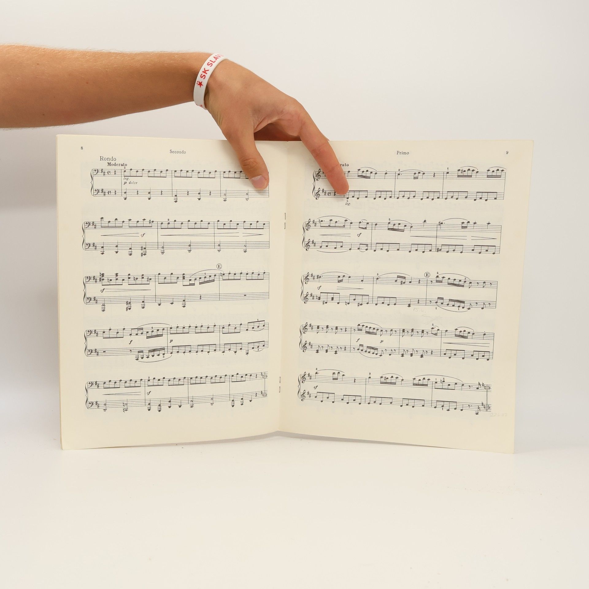 Ludwig van Beethoven Beethoven