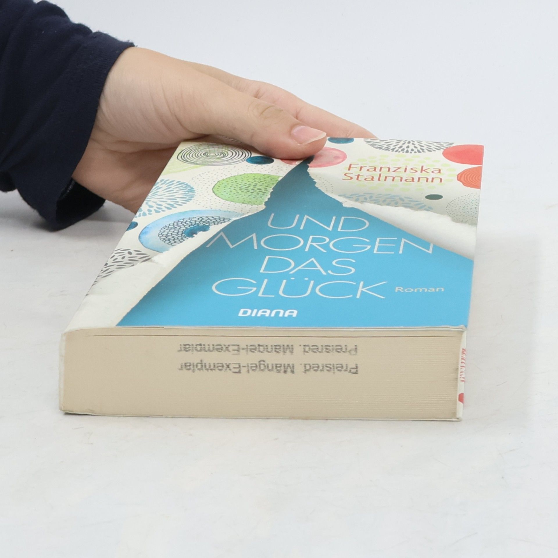 Franziska Stalmann Und morgen das Glück