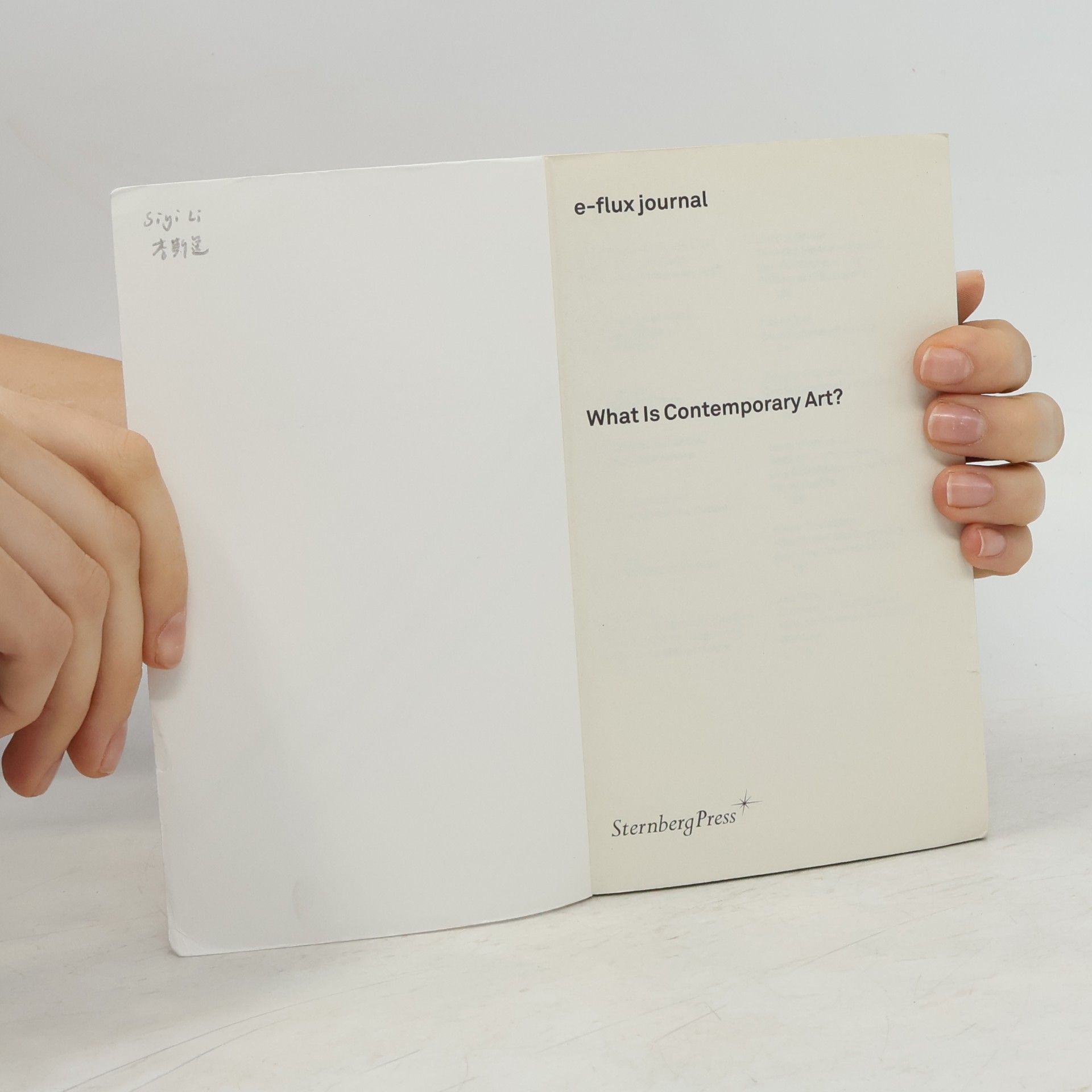 Julieta Aranda E-Flux Journal: What Is Contemporary Art?