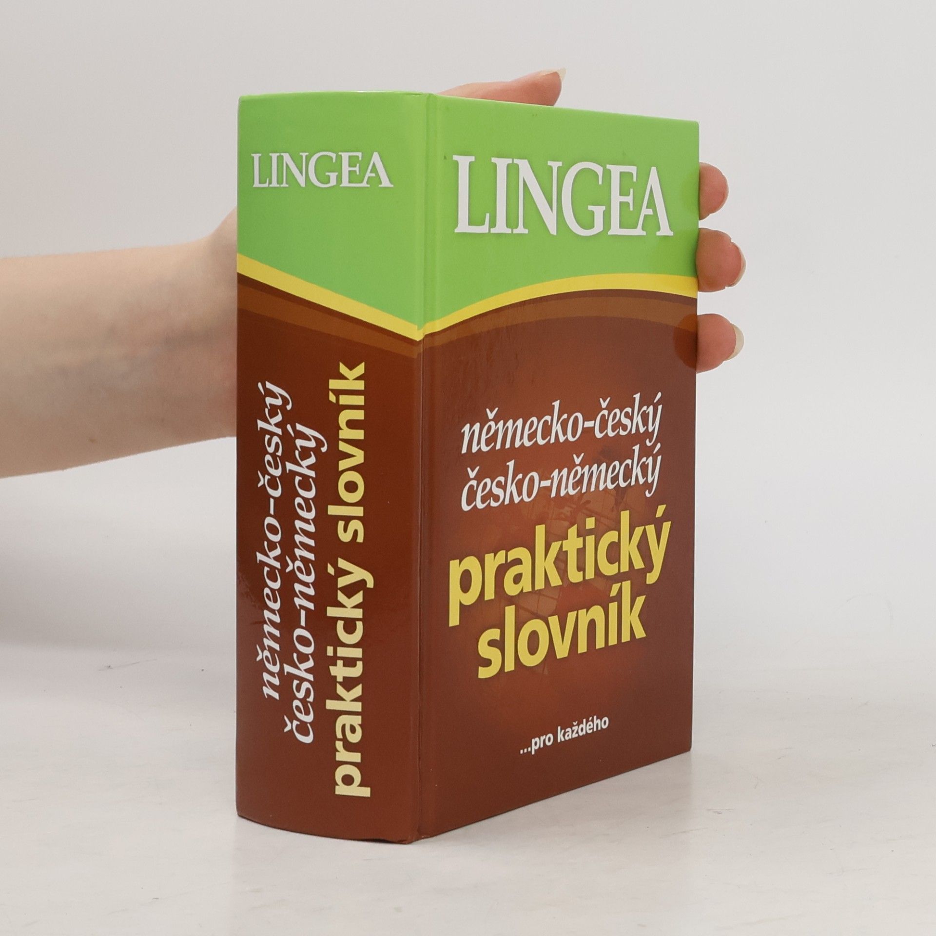 Autorenkollektiv Německo-český česko-německý praktický slovník