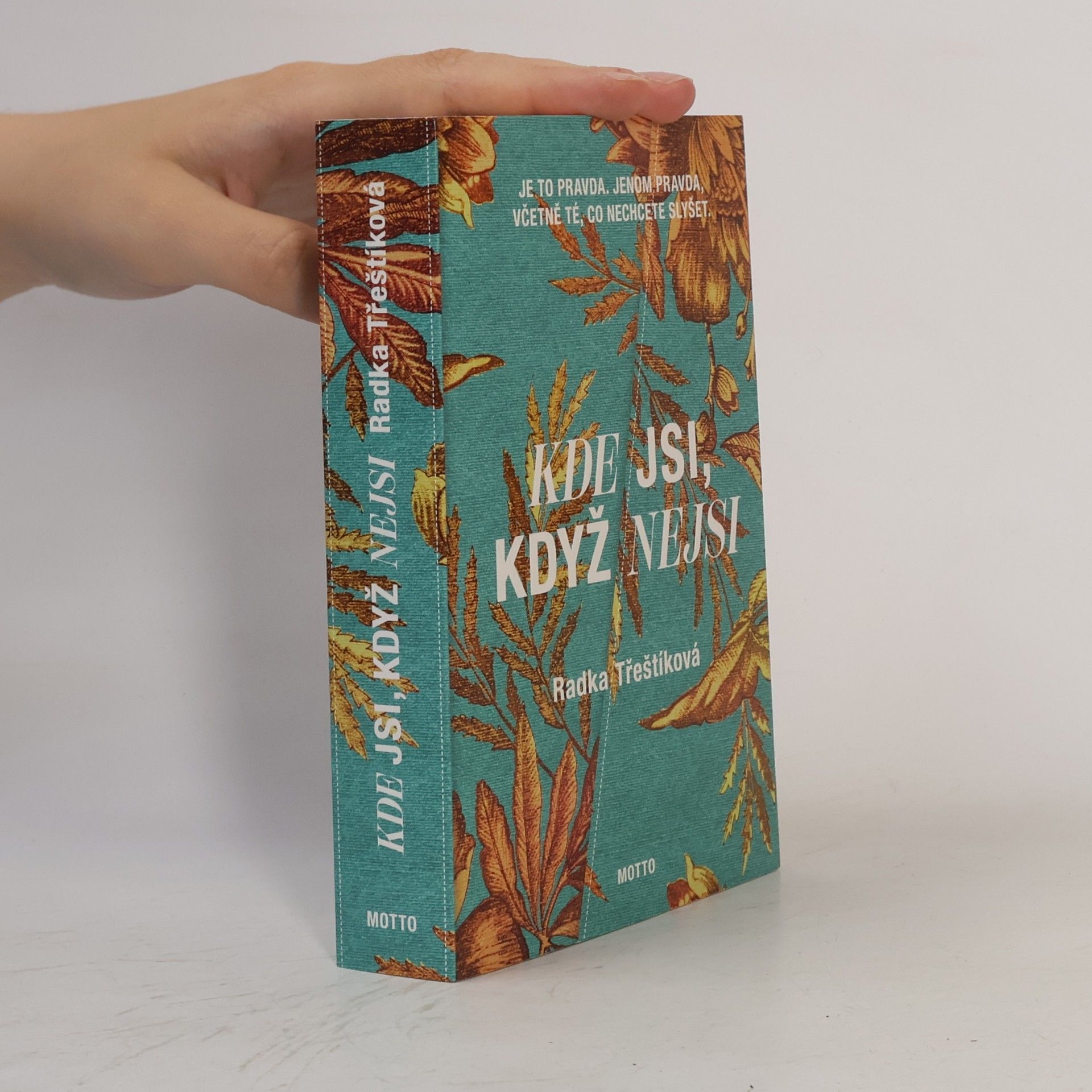 Radka Třeštíková Kde jsi, když nejsi