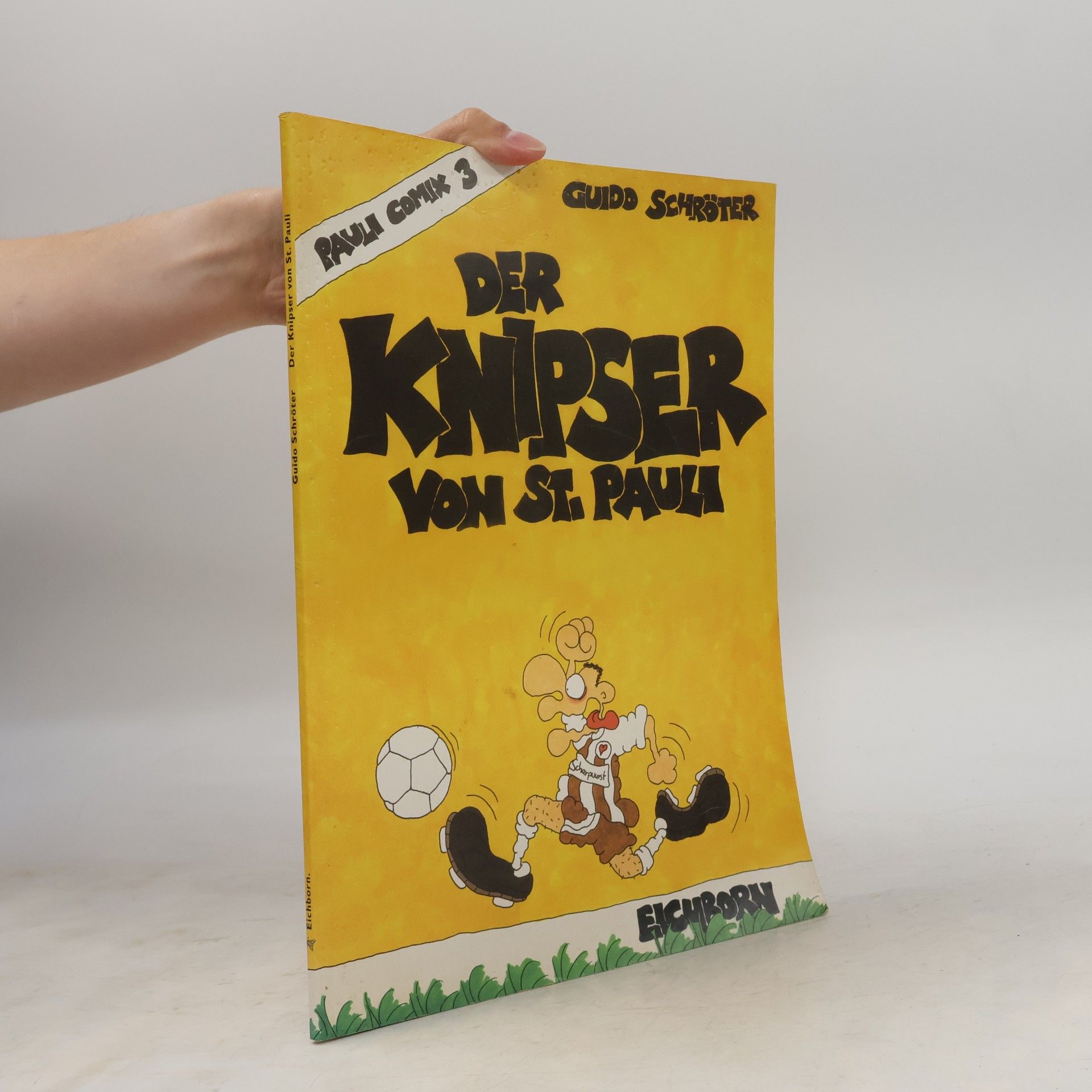 Guido Schröter Pauli-Comix 3