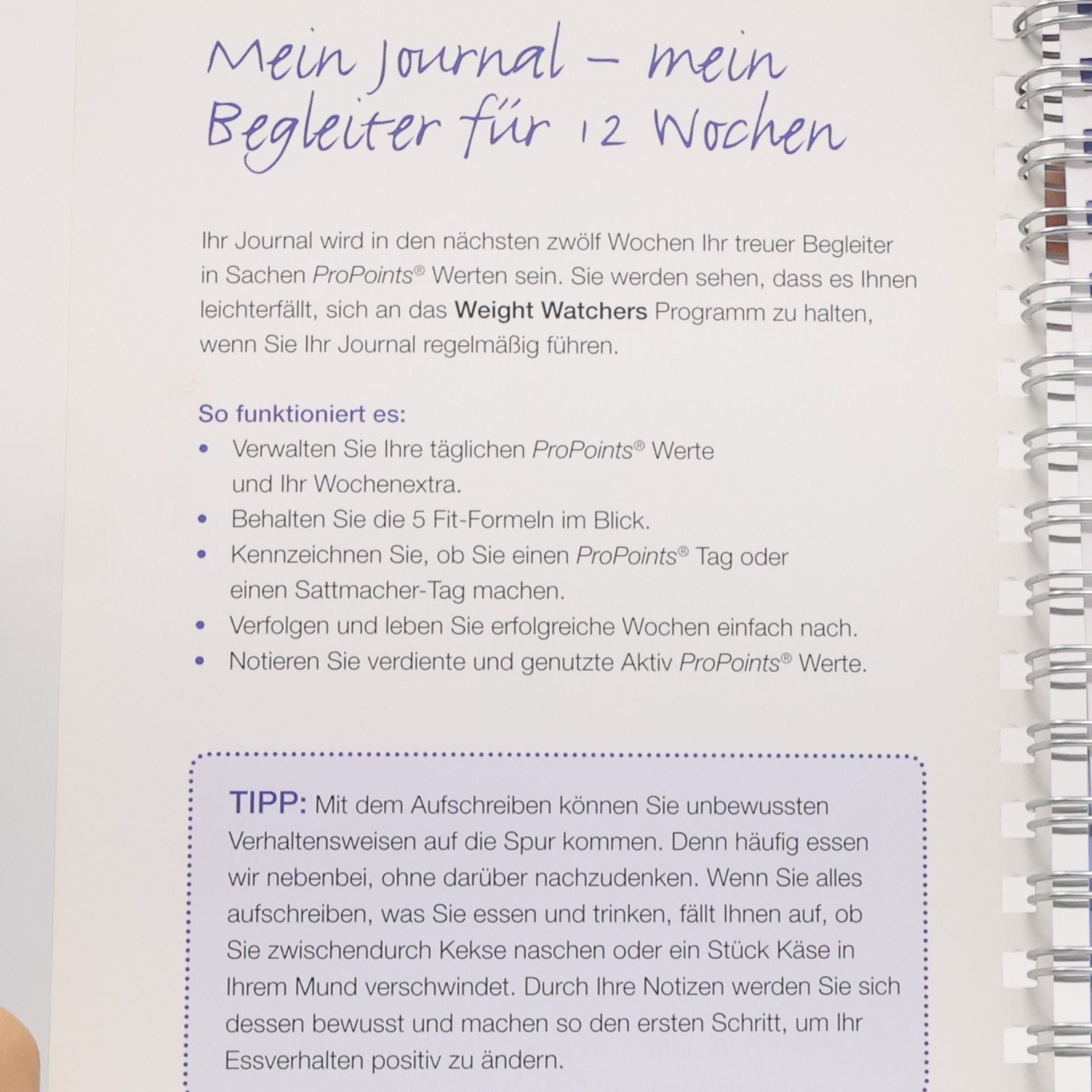 Autorenkollektiv Mein Journal