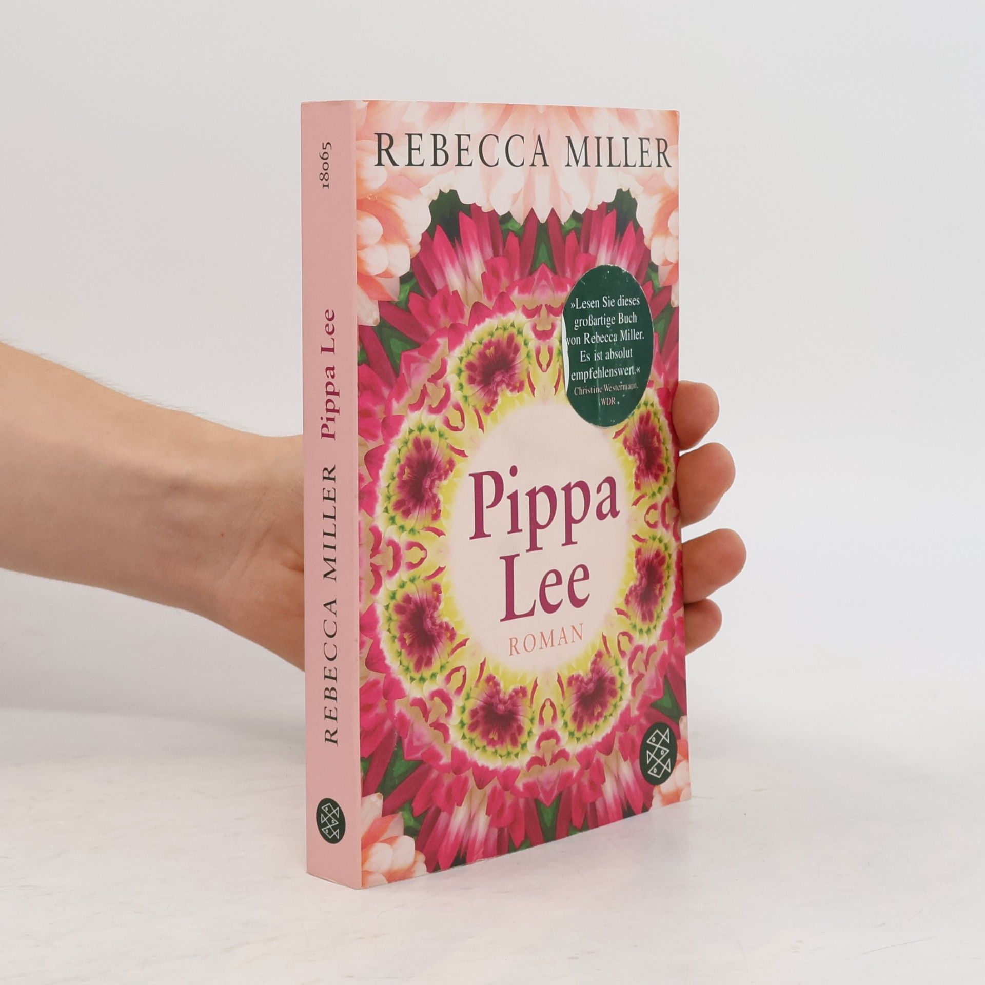 Rebecca Miller Pippa Lee