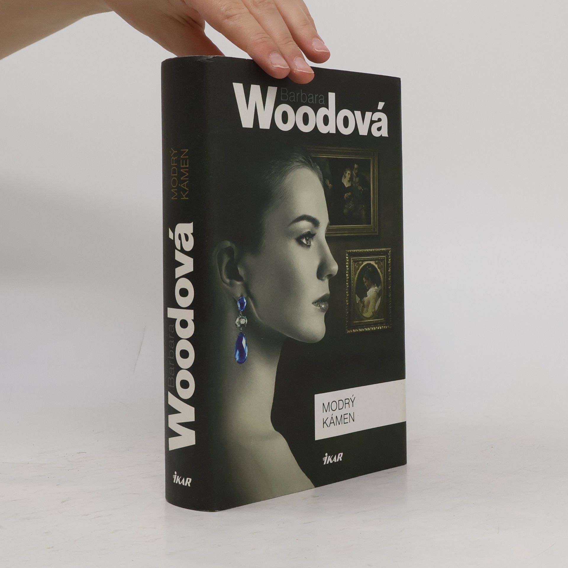 Barbara Wood Modrý kámen