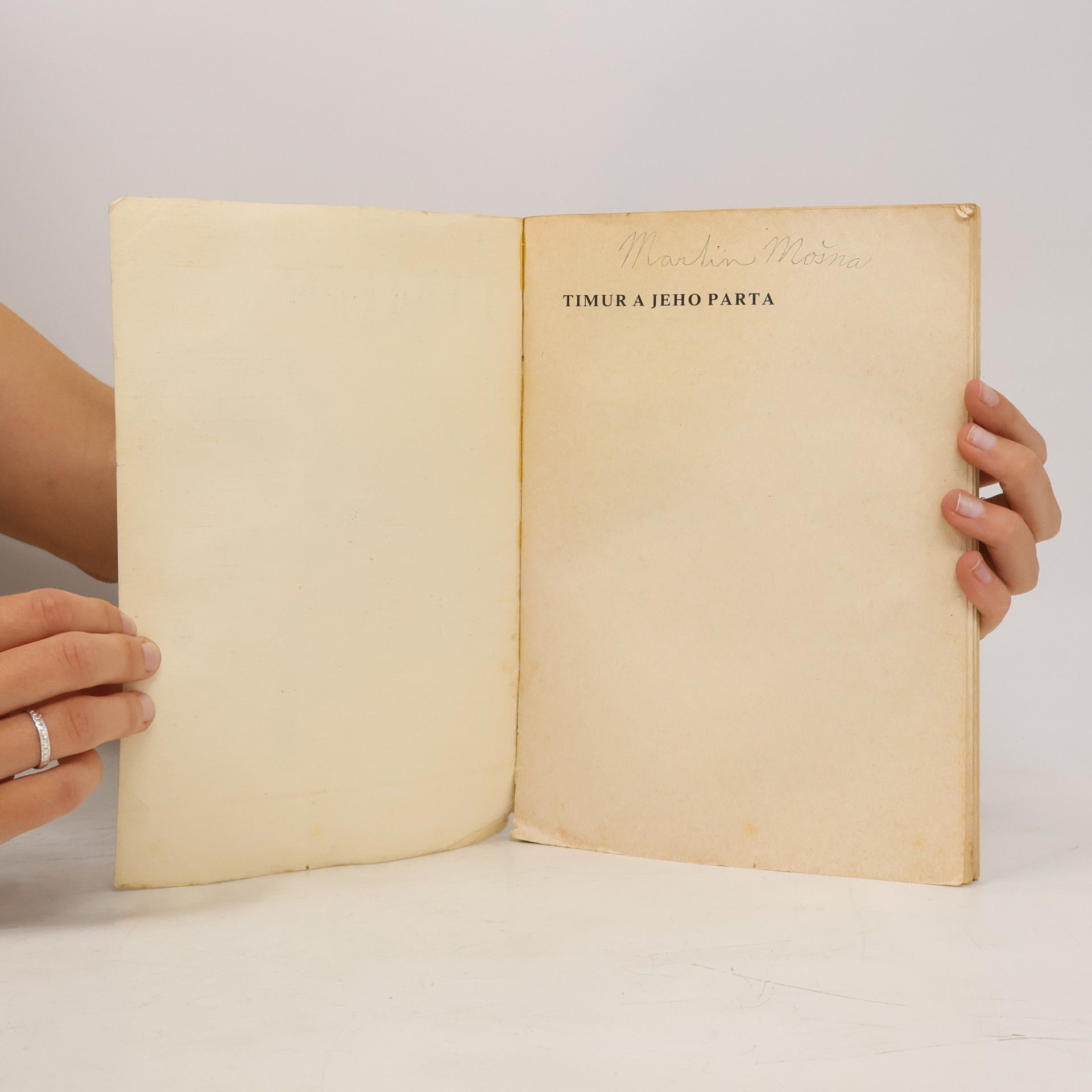 Arkadij Petrovič Gajdar Timur a jeho parta