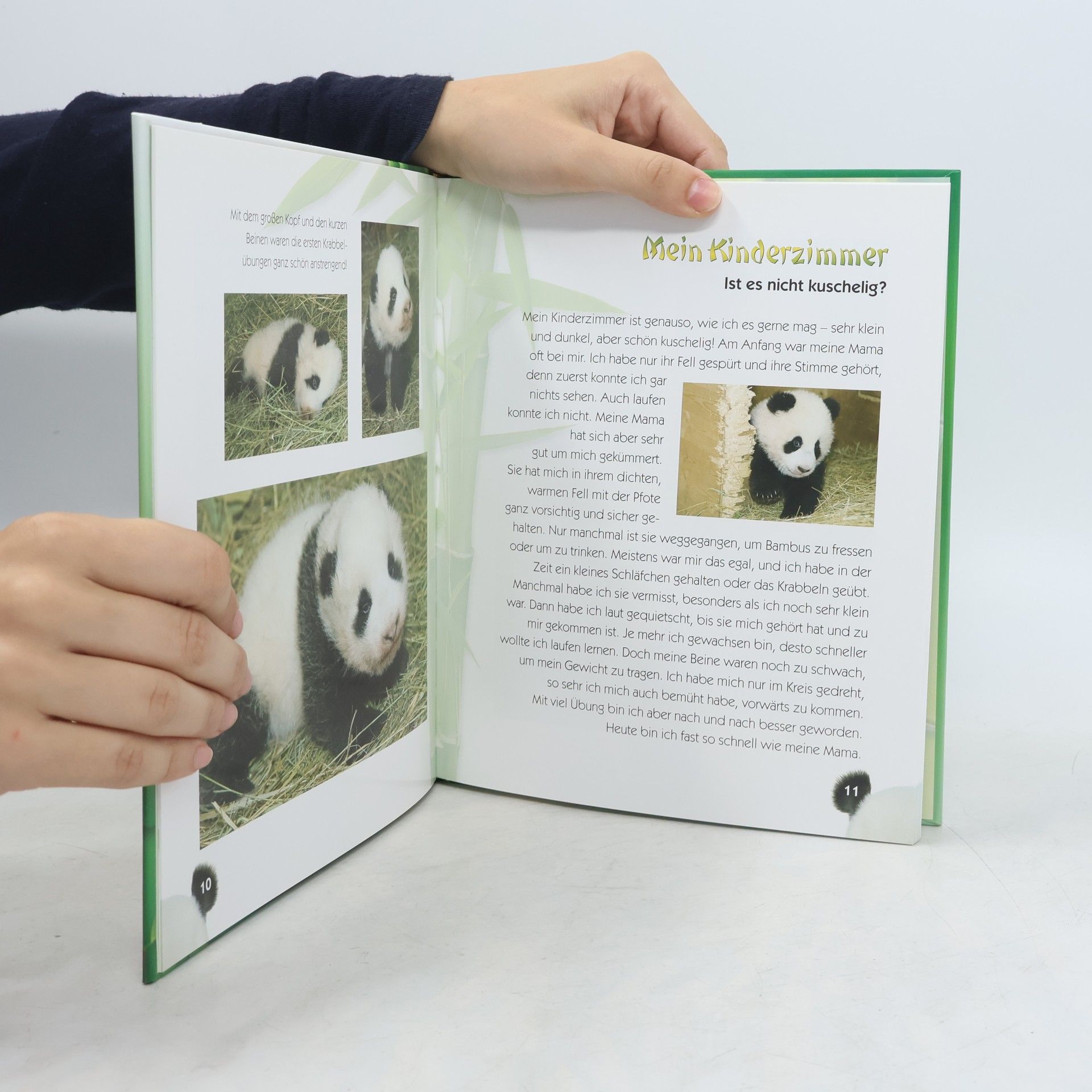 Daniel Zupanc Fu Long - Ein Kleiner Pandabar Entdeckt die Welt
