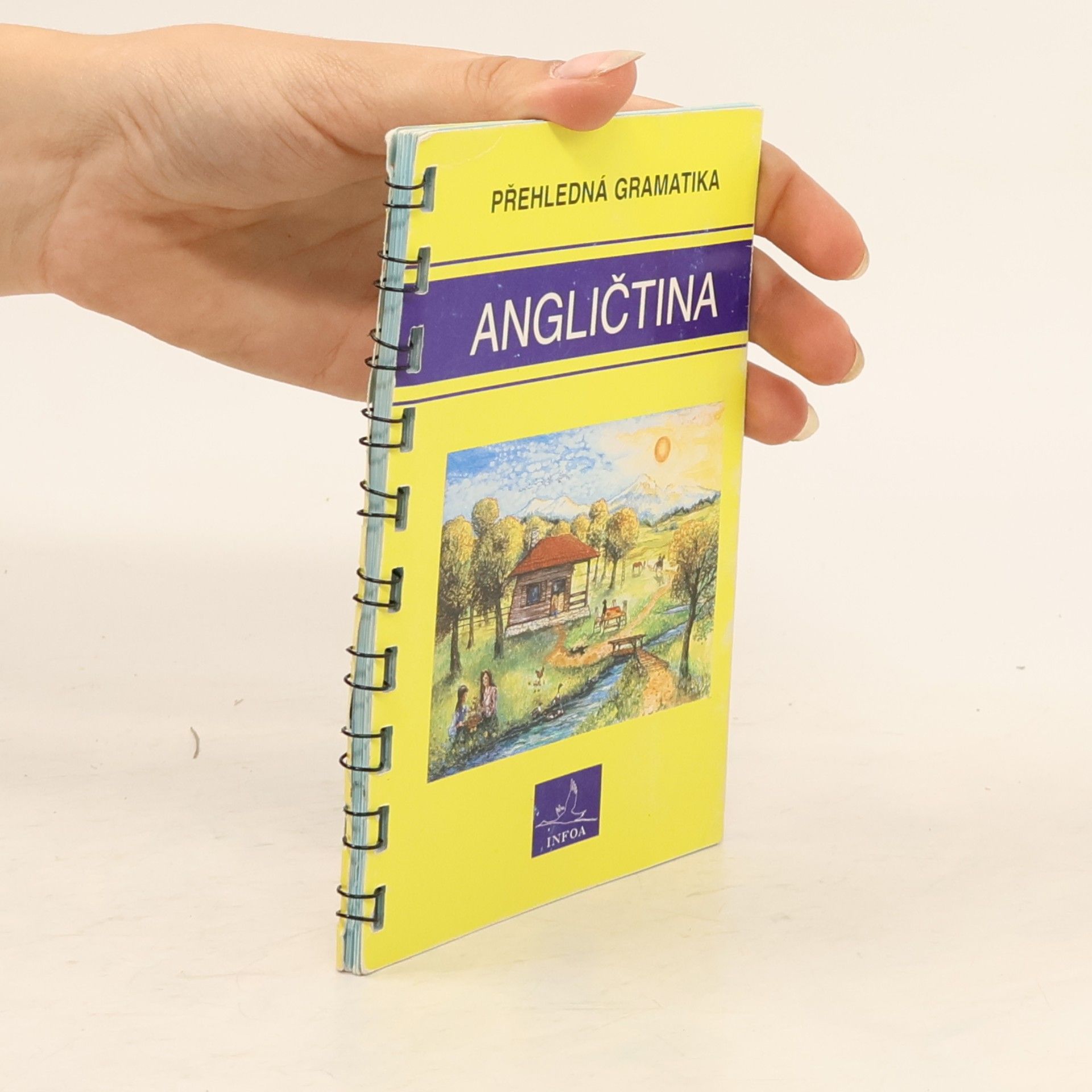 Gary Grabbe Angličtina. Přehledná gramatika