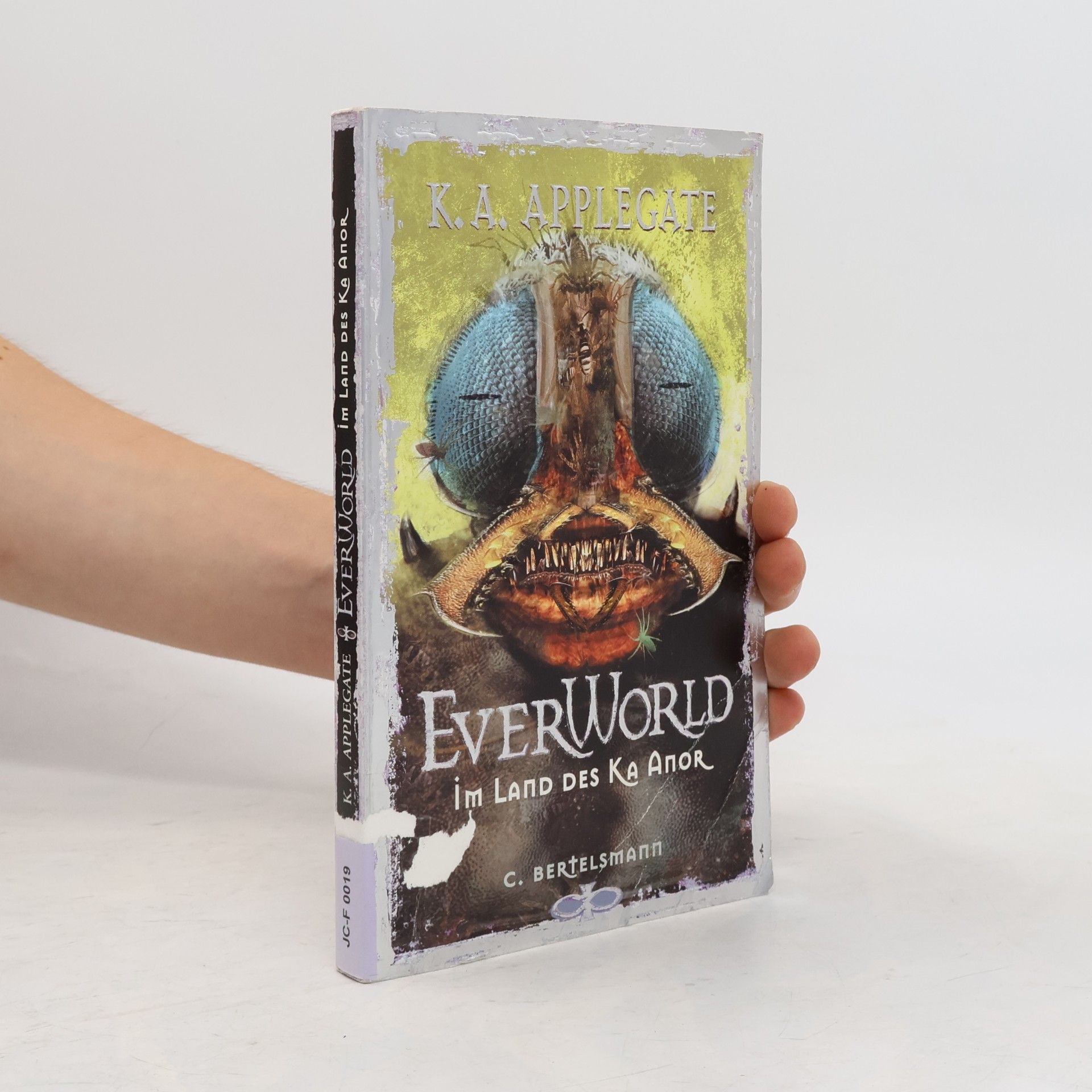 Katherine Applegate Everworld im Land des Ka Anor