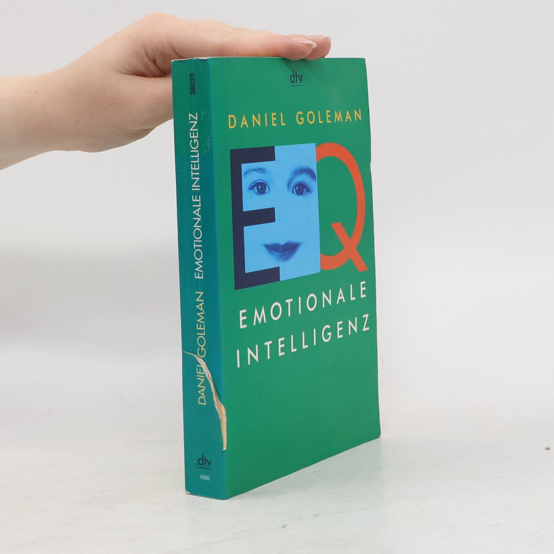 Daniel Goleman Emotionale Intelligenz